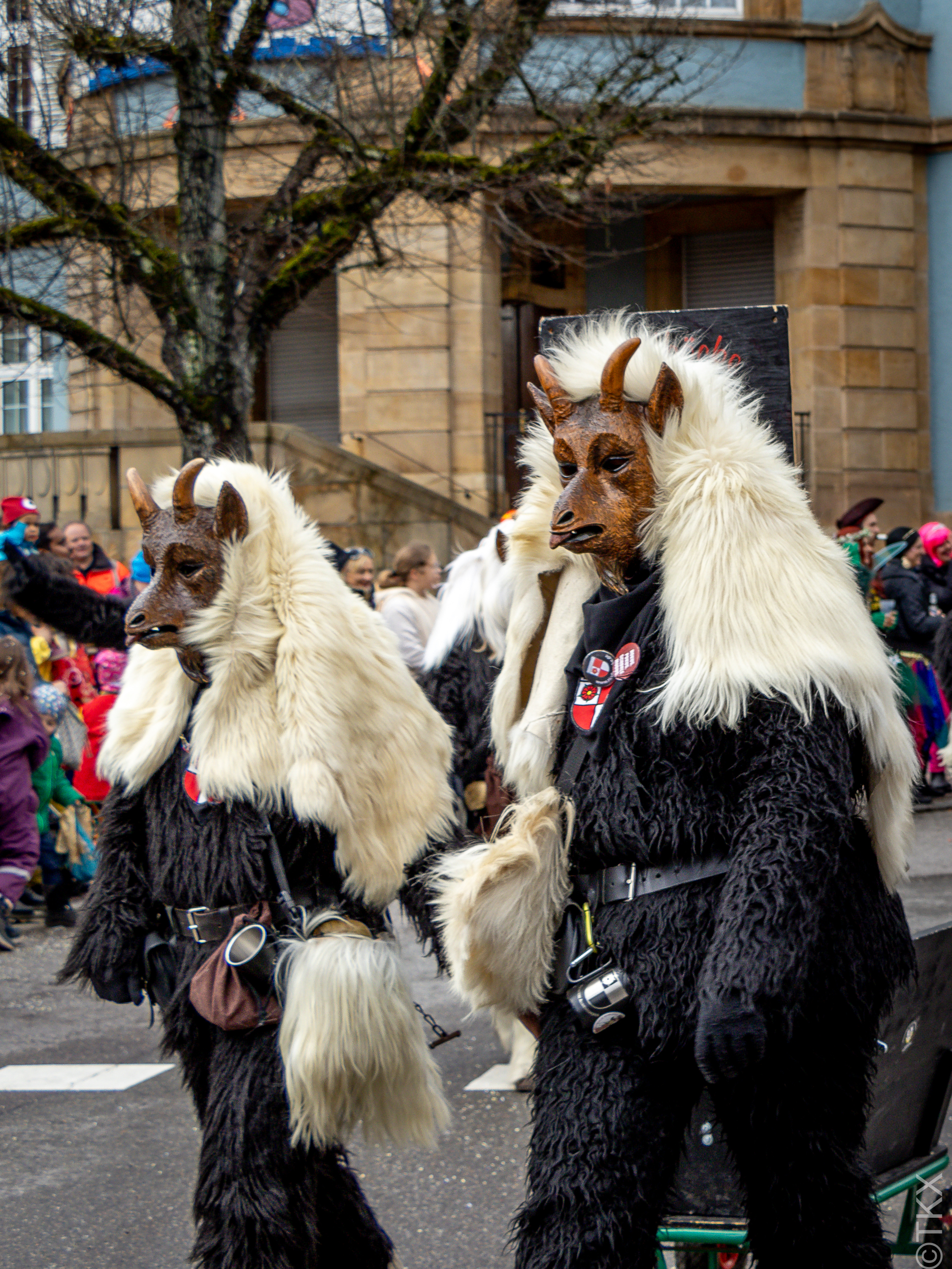 20240208 20240208 IMG 0151