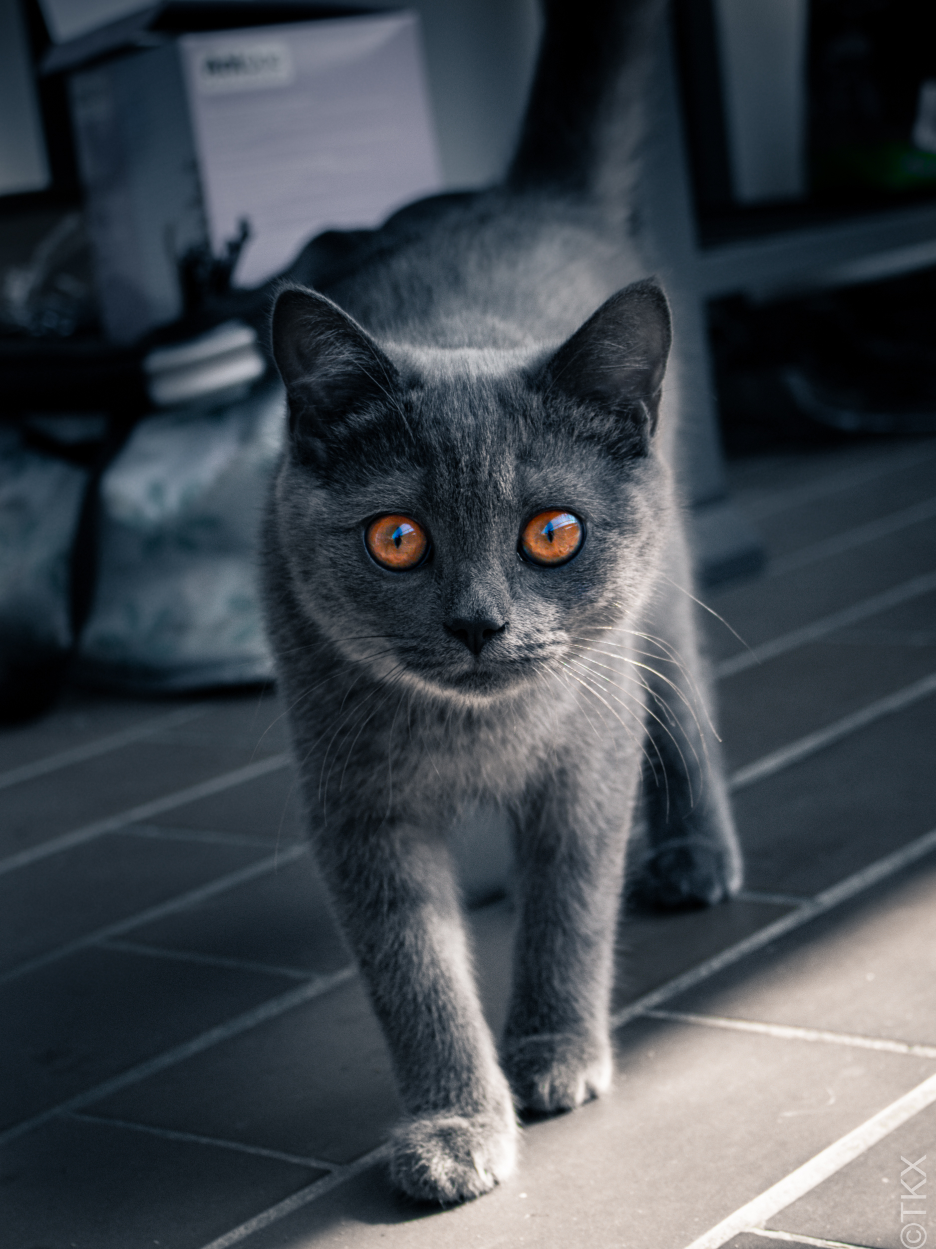 20210821 20210821 IMG 3035