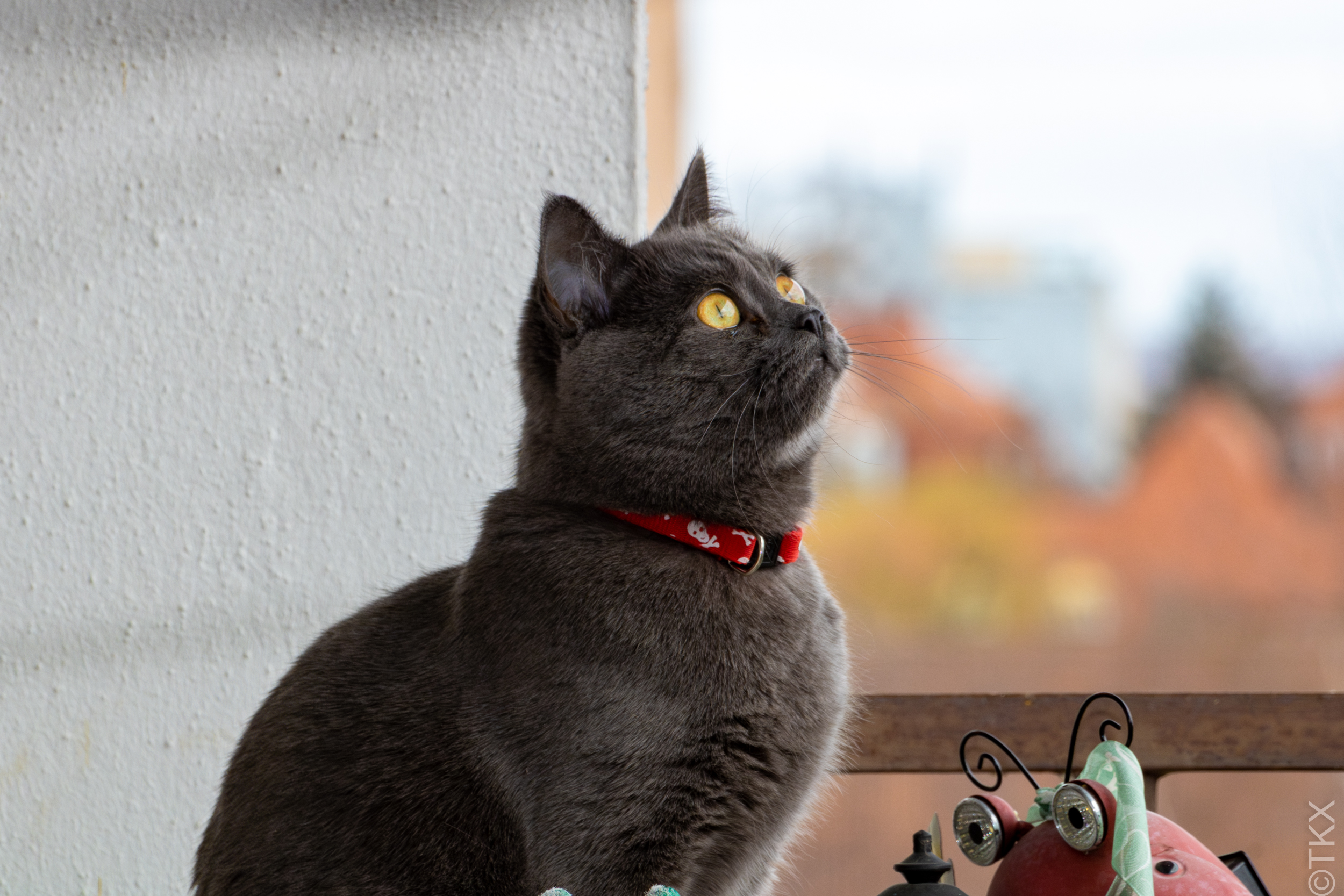 20230329 20230329 IMG 4670 Verbessert RR