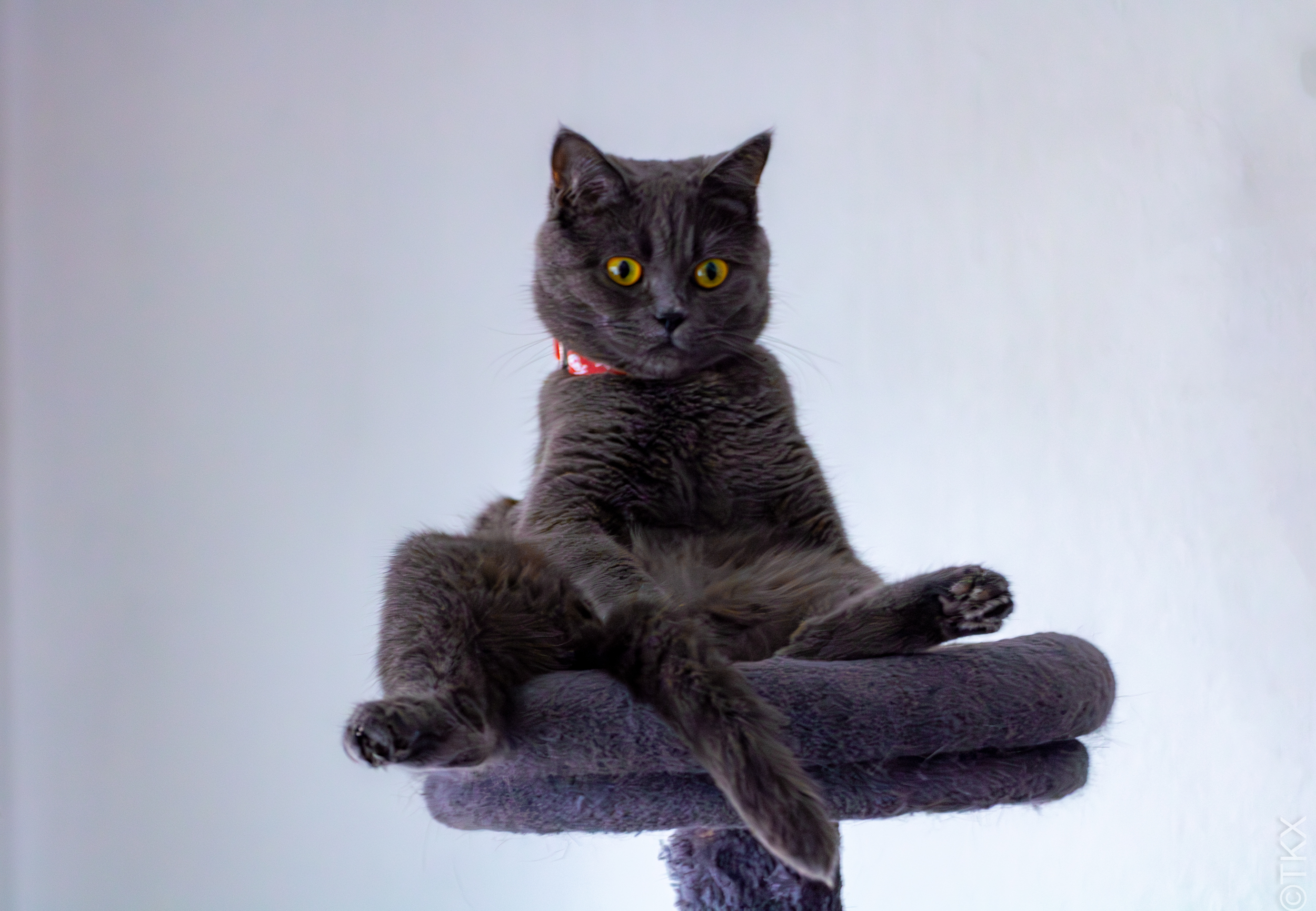 20230418 20230418 IMG 4972 Verbessert RR