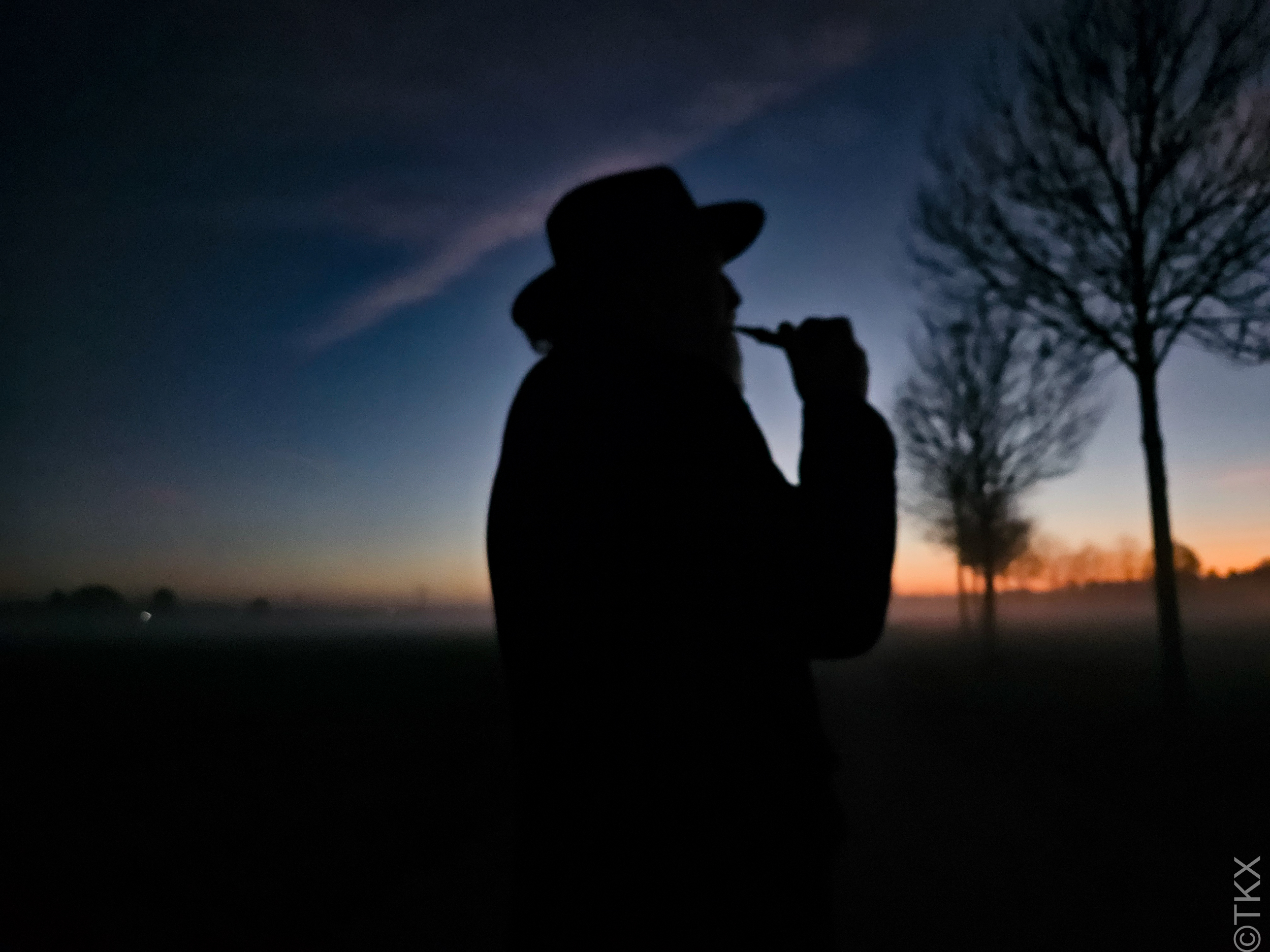 20241101 20241101 20241101 174954