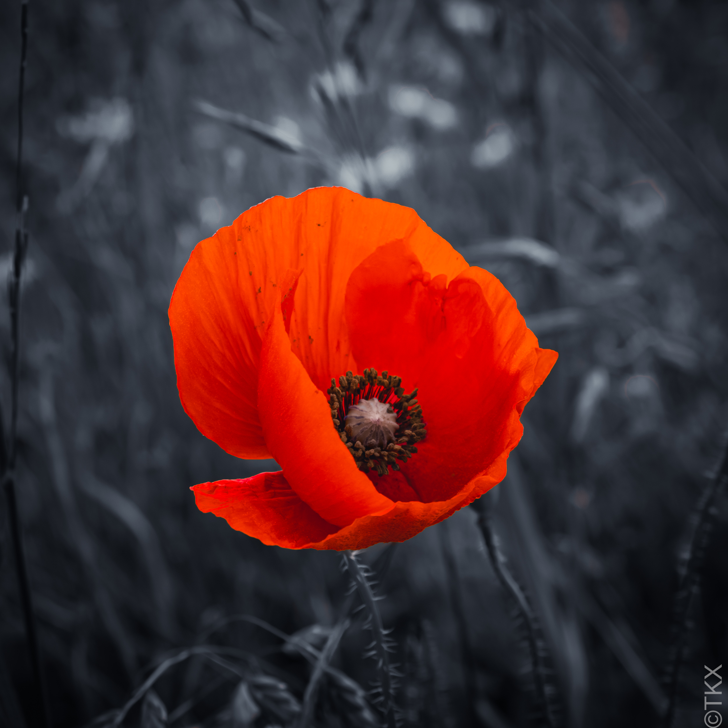 20221023 20221023 IMG 4503 Verbessert RR