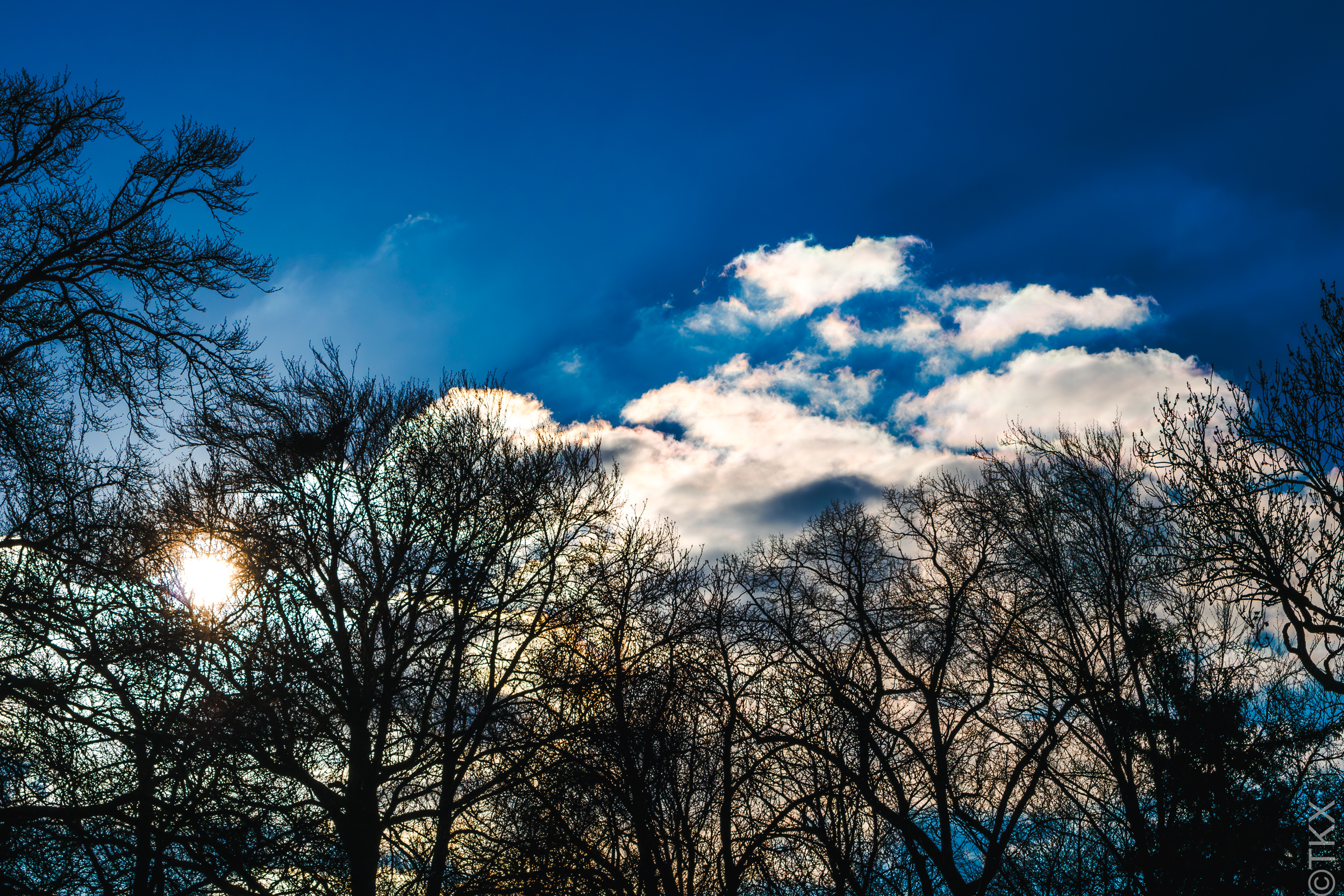 20230404 20230404 IMG 4896 Verbessert RR