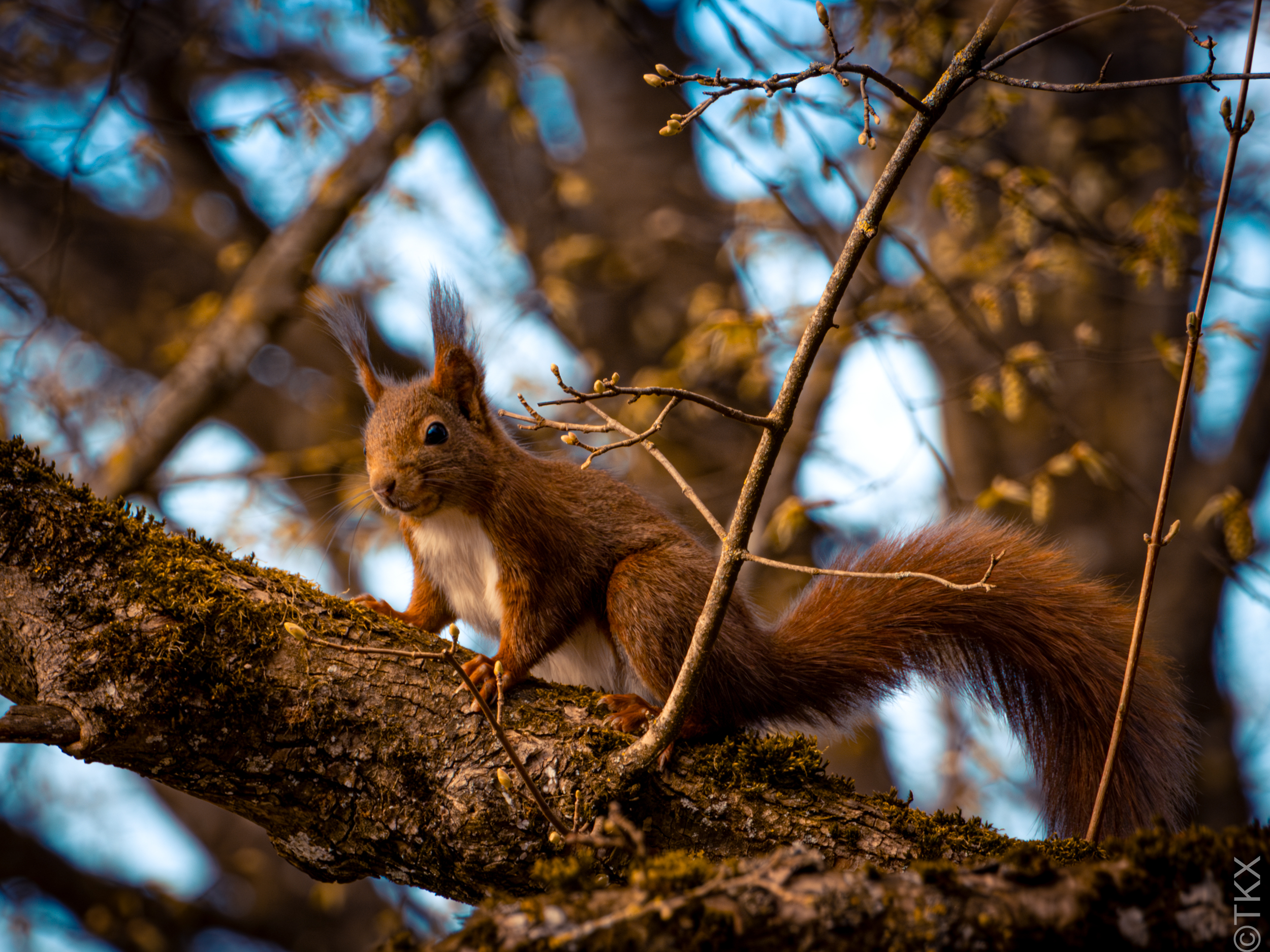 20230409 20230409 IMG 4908 Verbessert RR