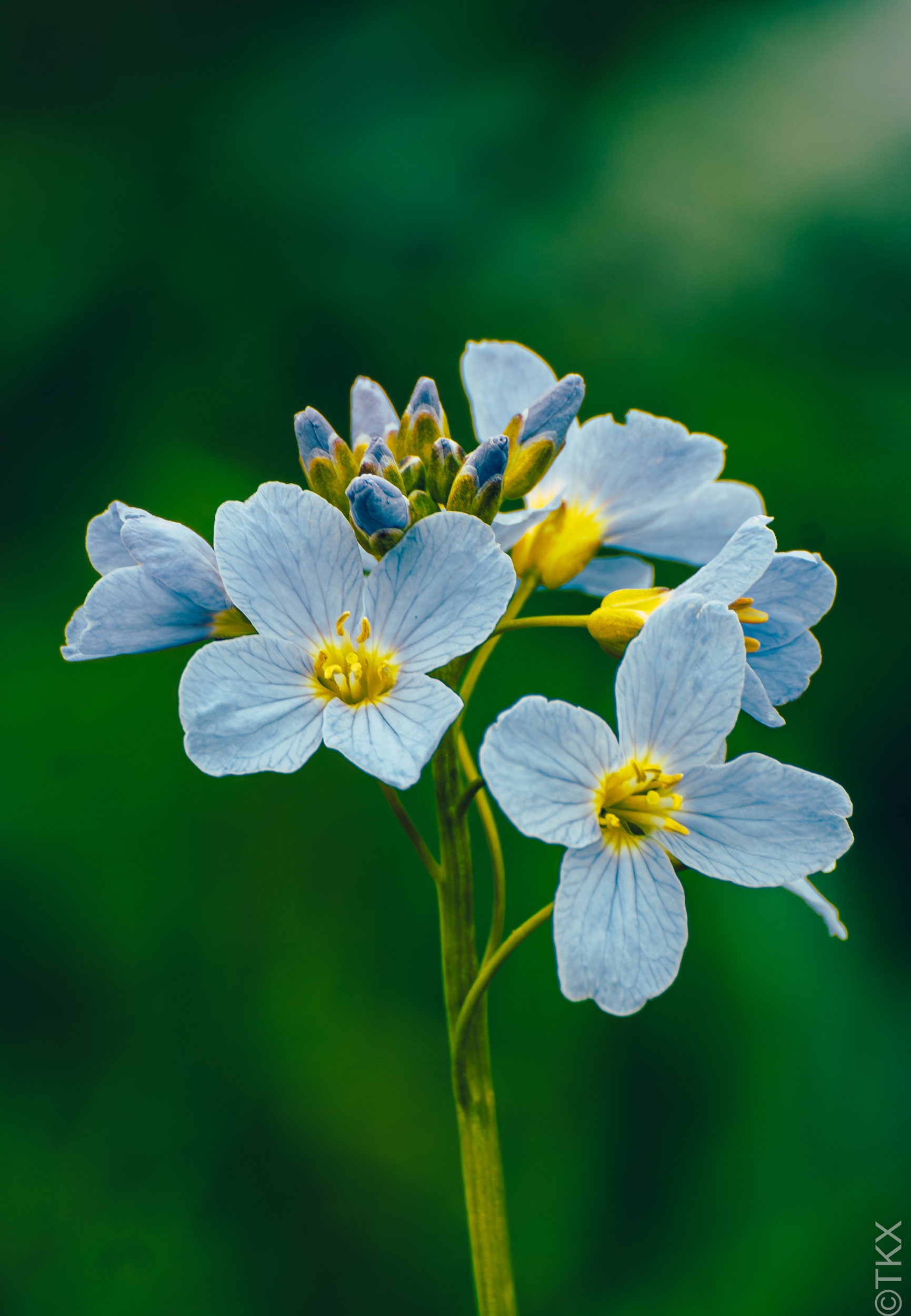 20230421 20230421 IMG 4987 Verbessert RR