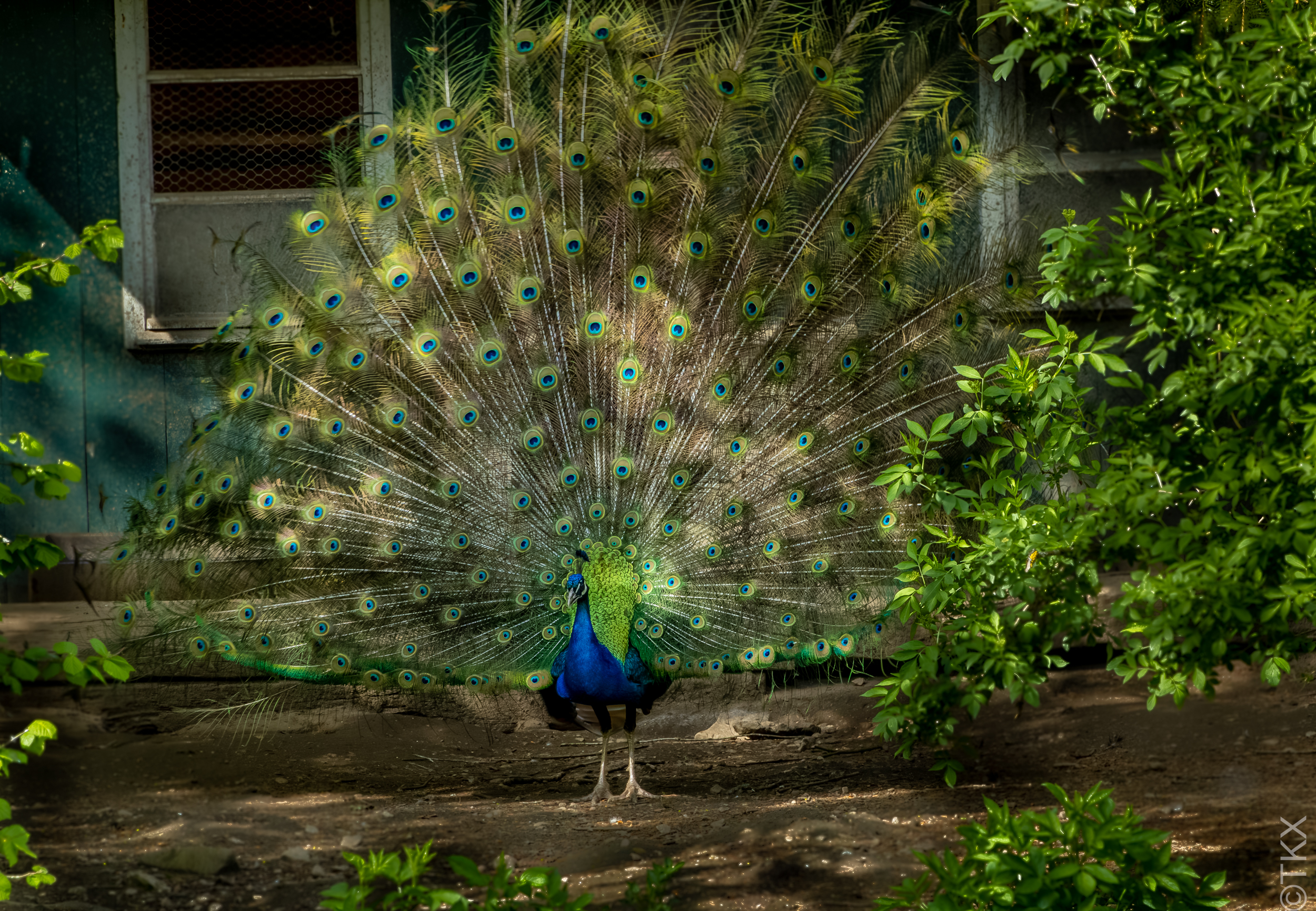 20230514 20230514 IMG 5164 Verbessert RR