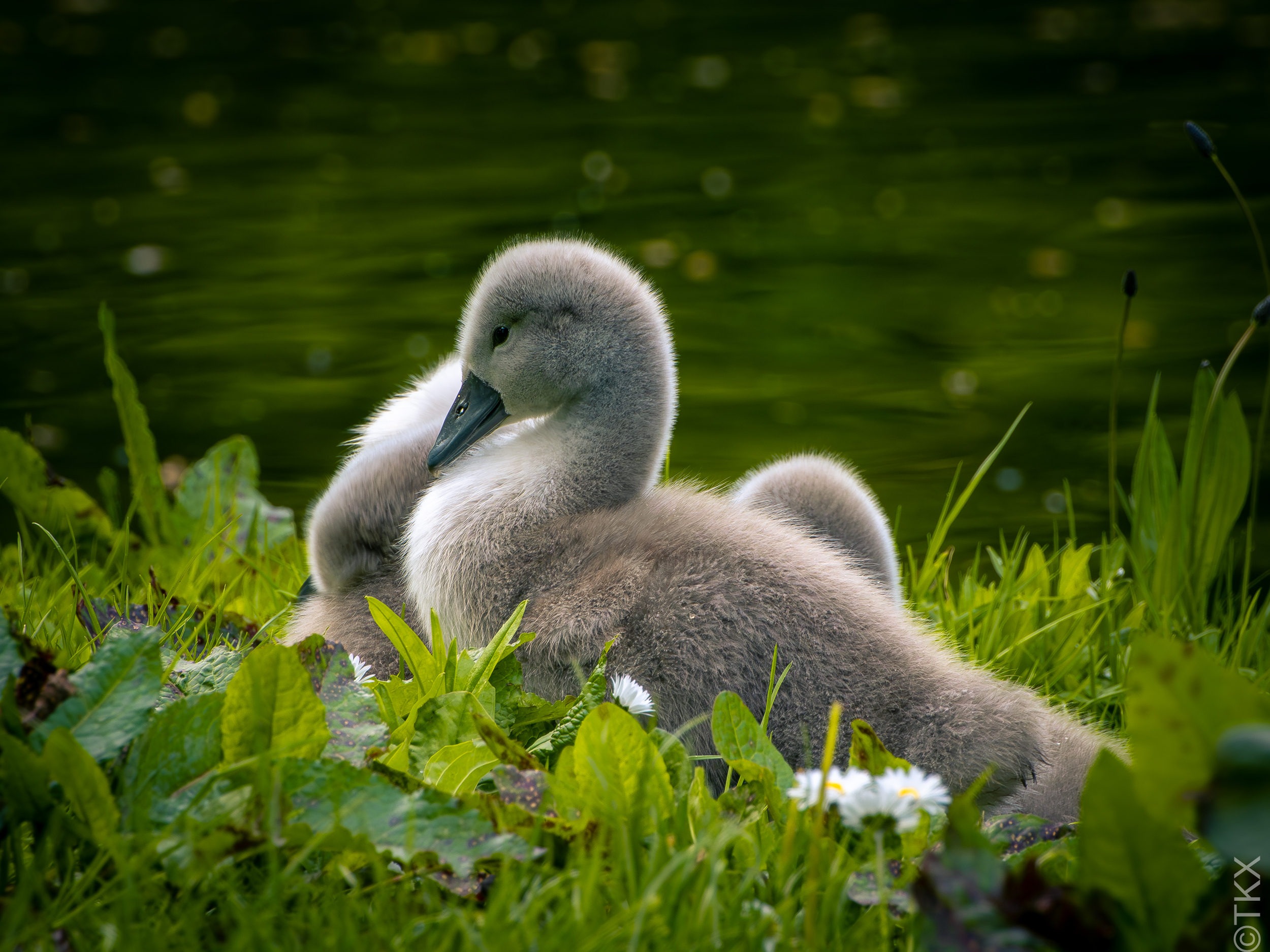 20230514 20230514 IMG 5177 Verbessert RR