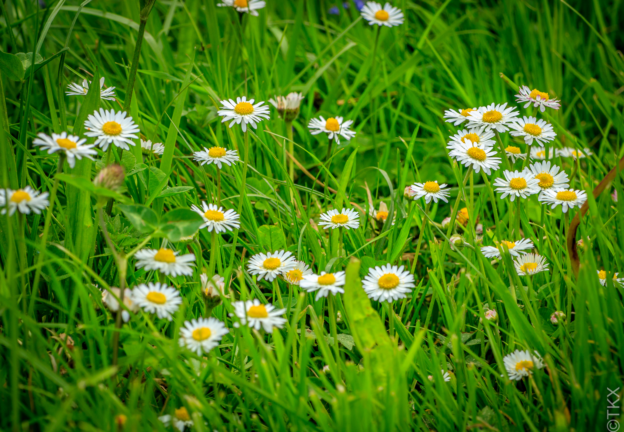 20230520 20230520 IMG 5210