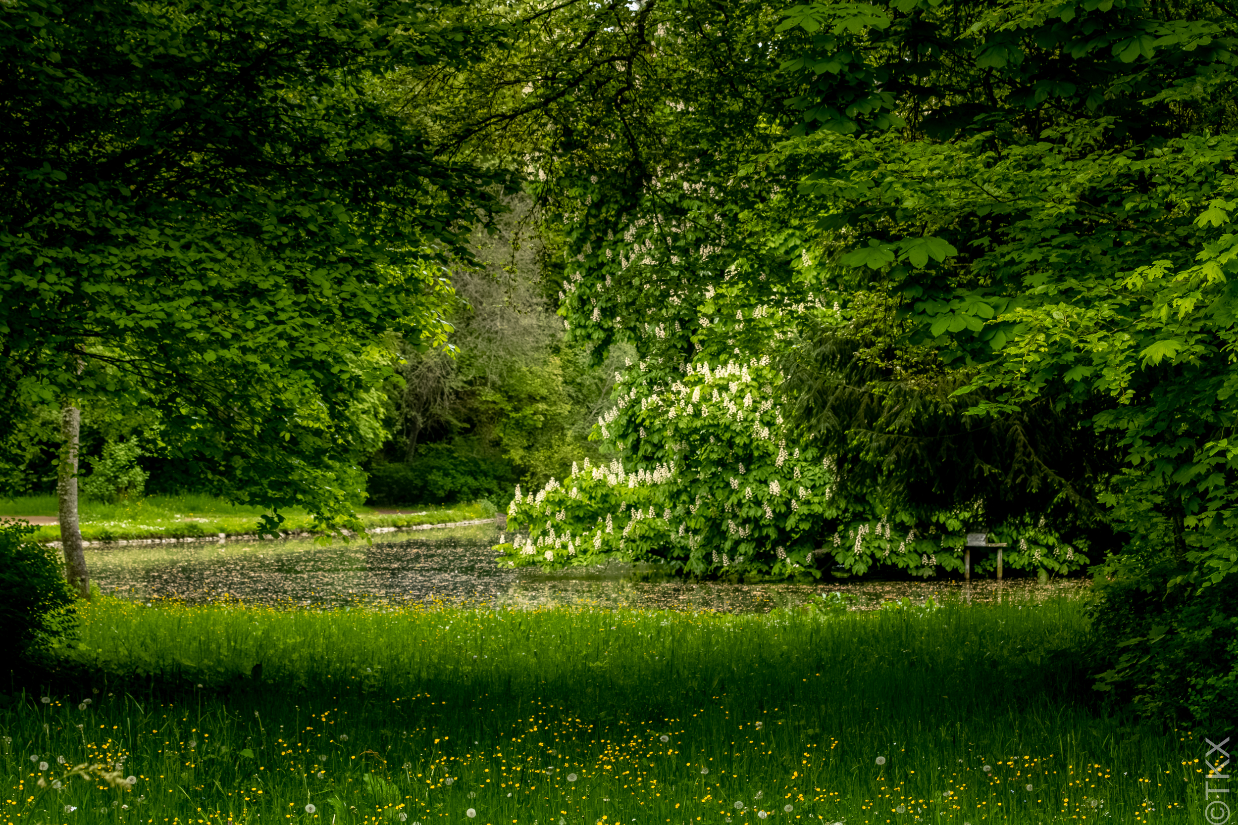 20230520 20230520 IMG 5216 Verbessert RR