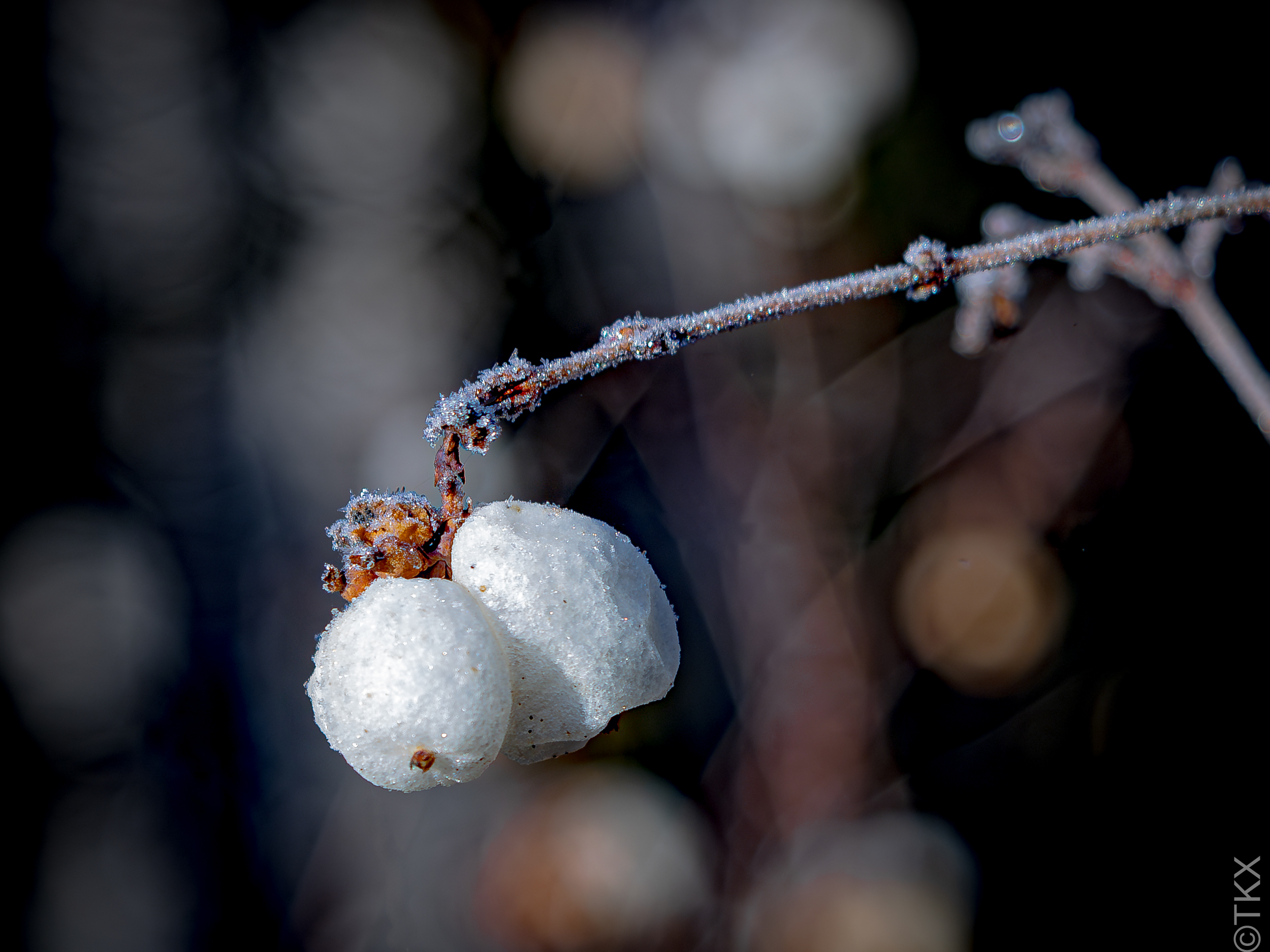 20240128 20240128 IMG 5982 Verbessert RR