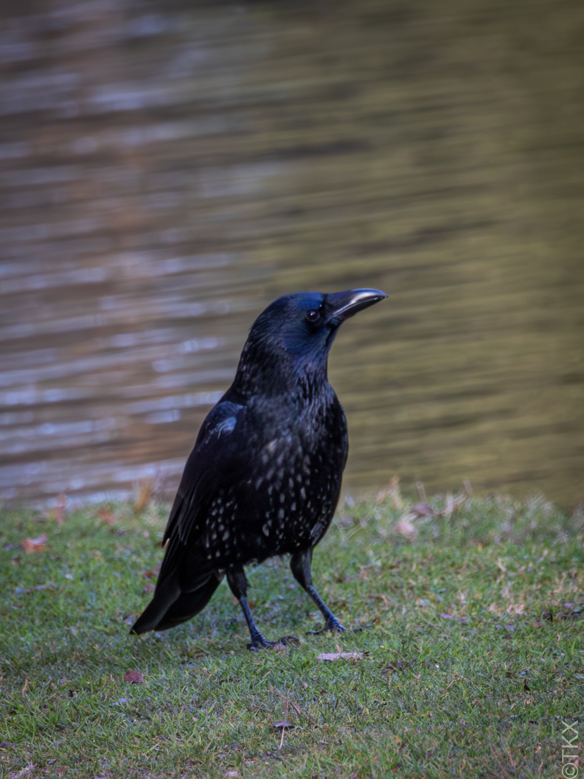 20240220 20240220 IMG 0299 Verbessert RR