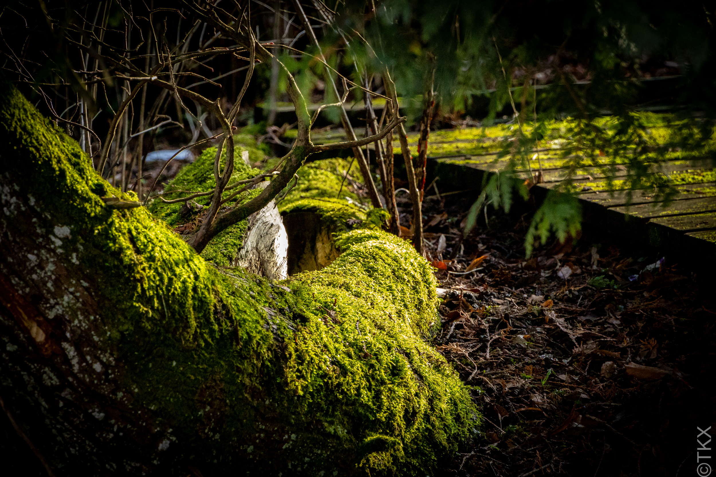 20240220 20240220 IMG 0335