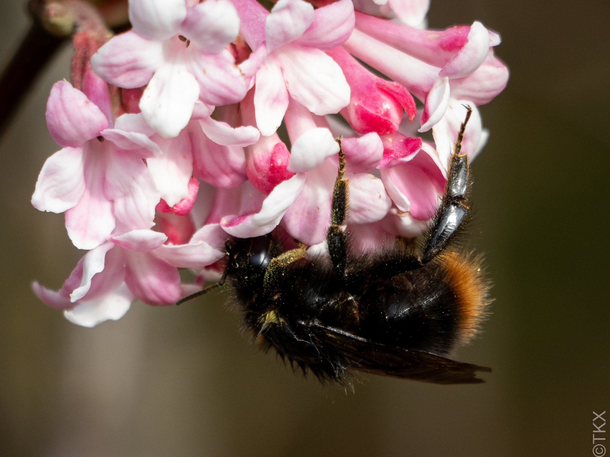 20240309 20240309 IMG 0482