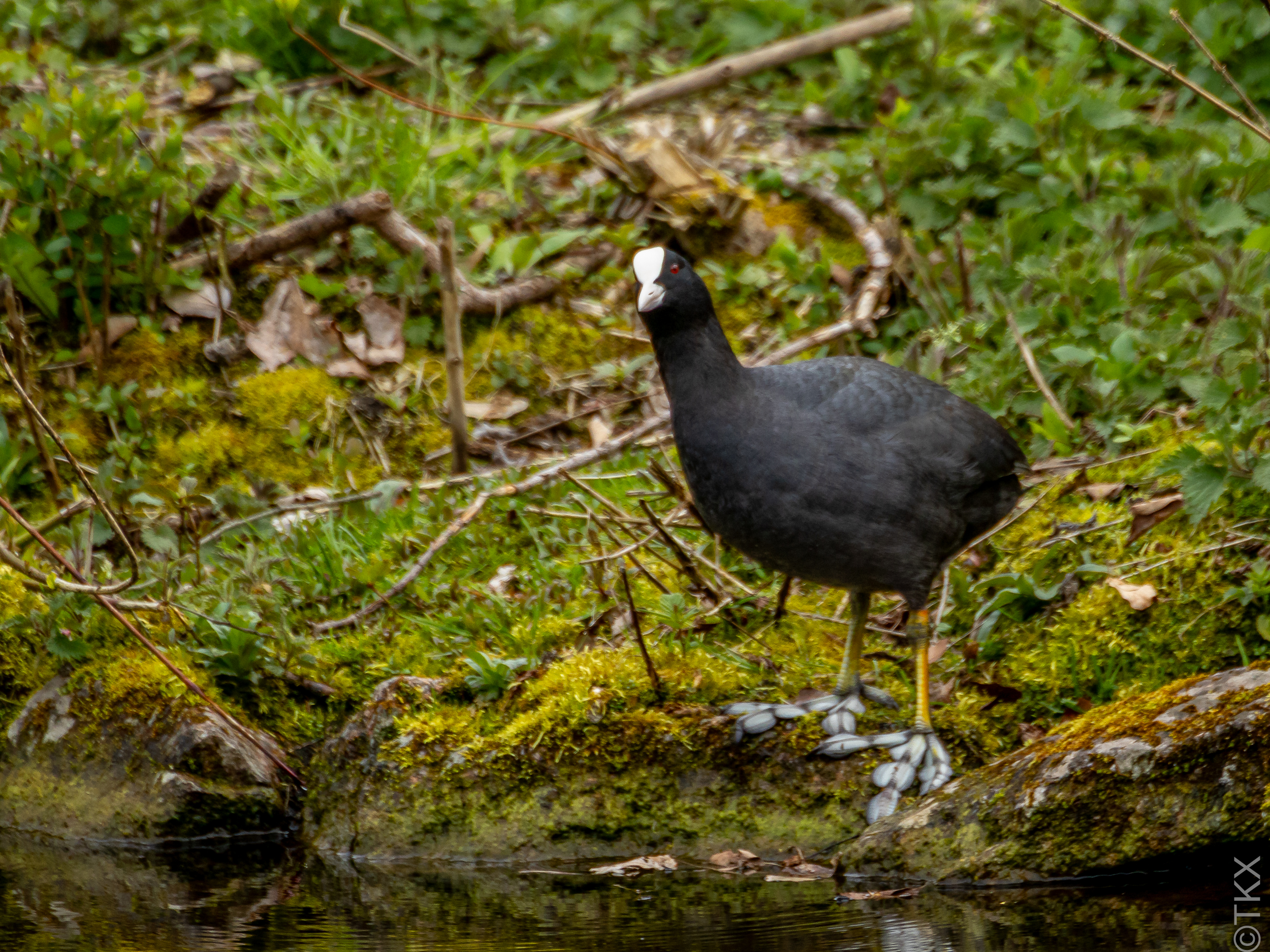 20240407 20240407 IMG 0758