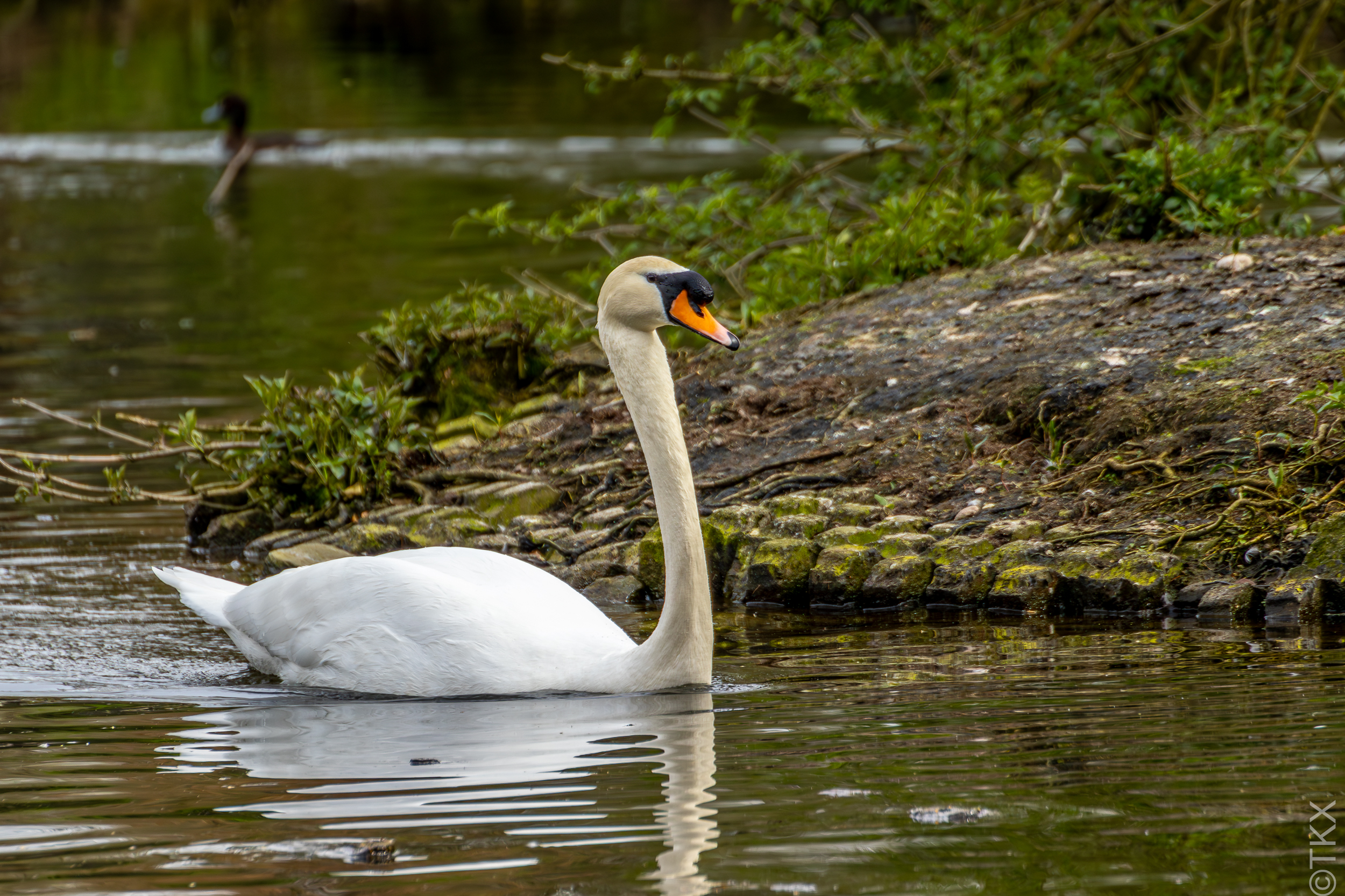 20240407 20240407 IMG 0873 Verbessert RR