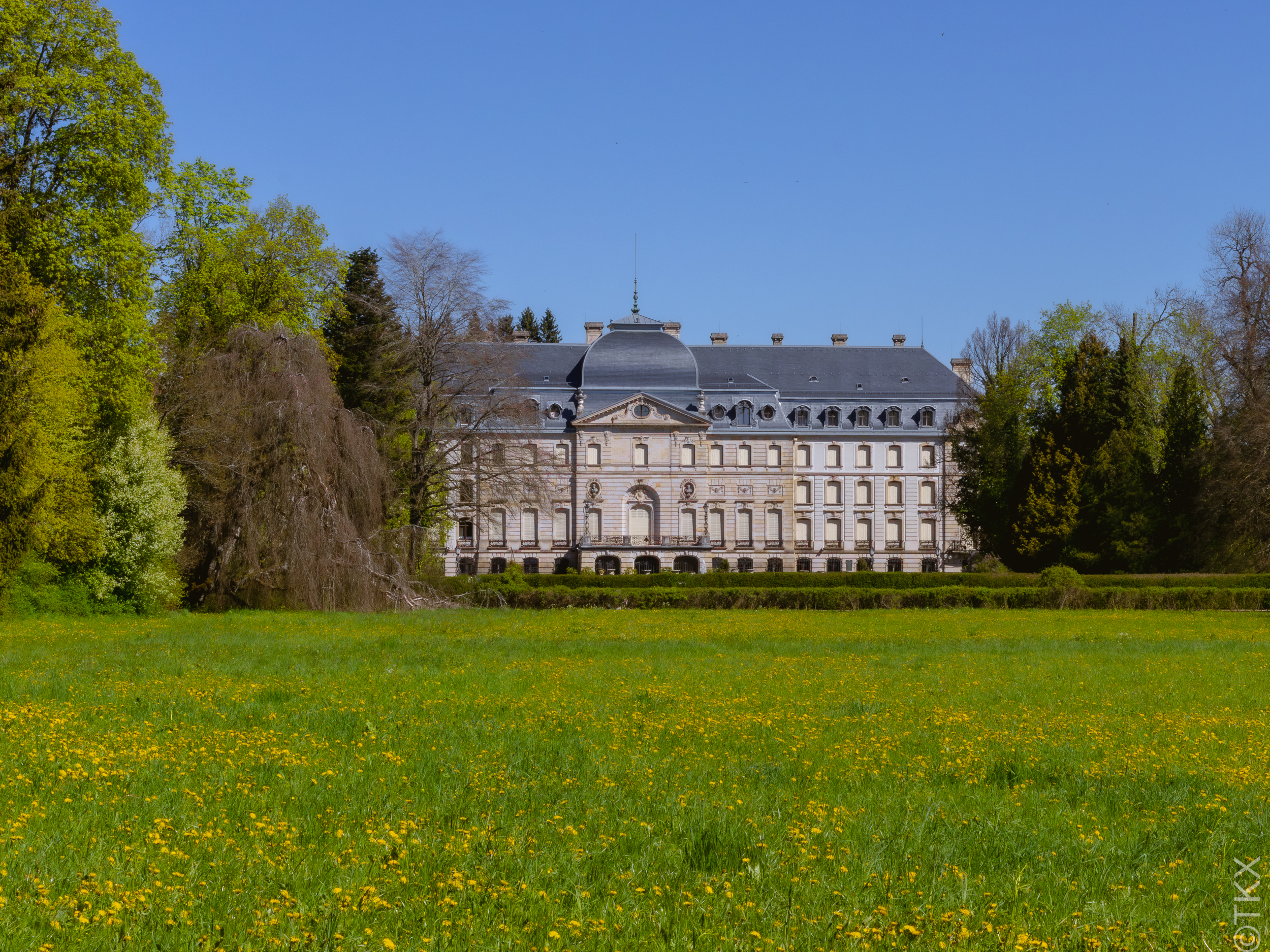 20240427 20240427 IMG 1013 Verbessert RR