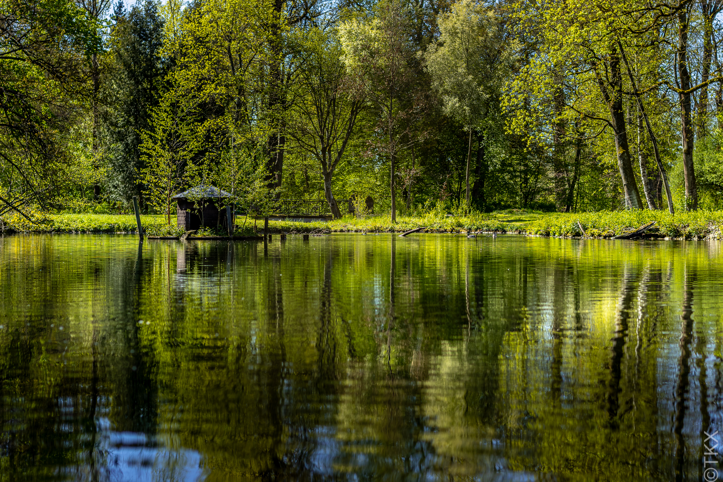 20240427 20240427 IMG 1021