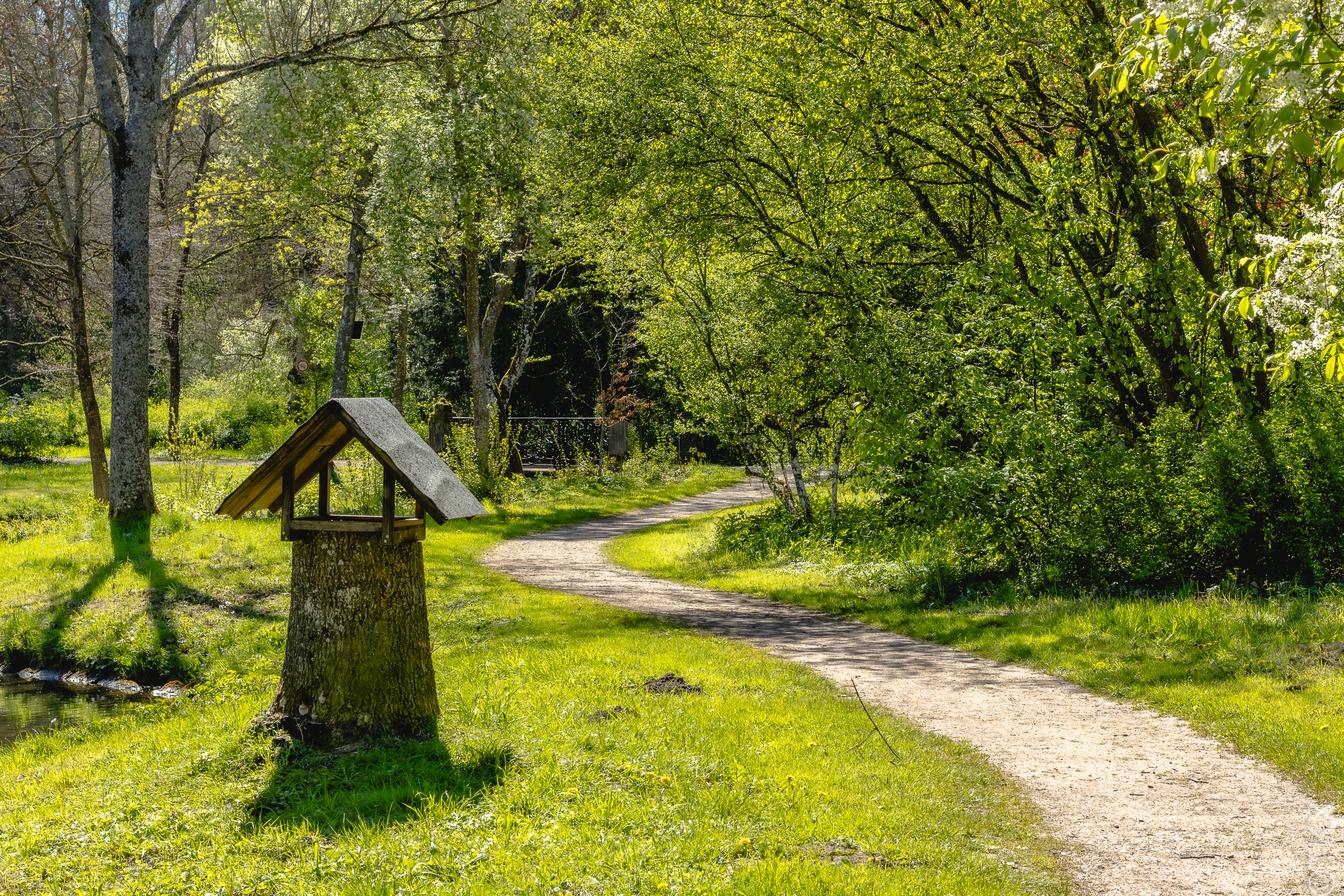 20240427 20240427 IMG 1027 Verbessert RR