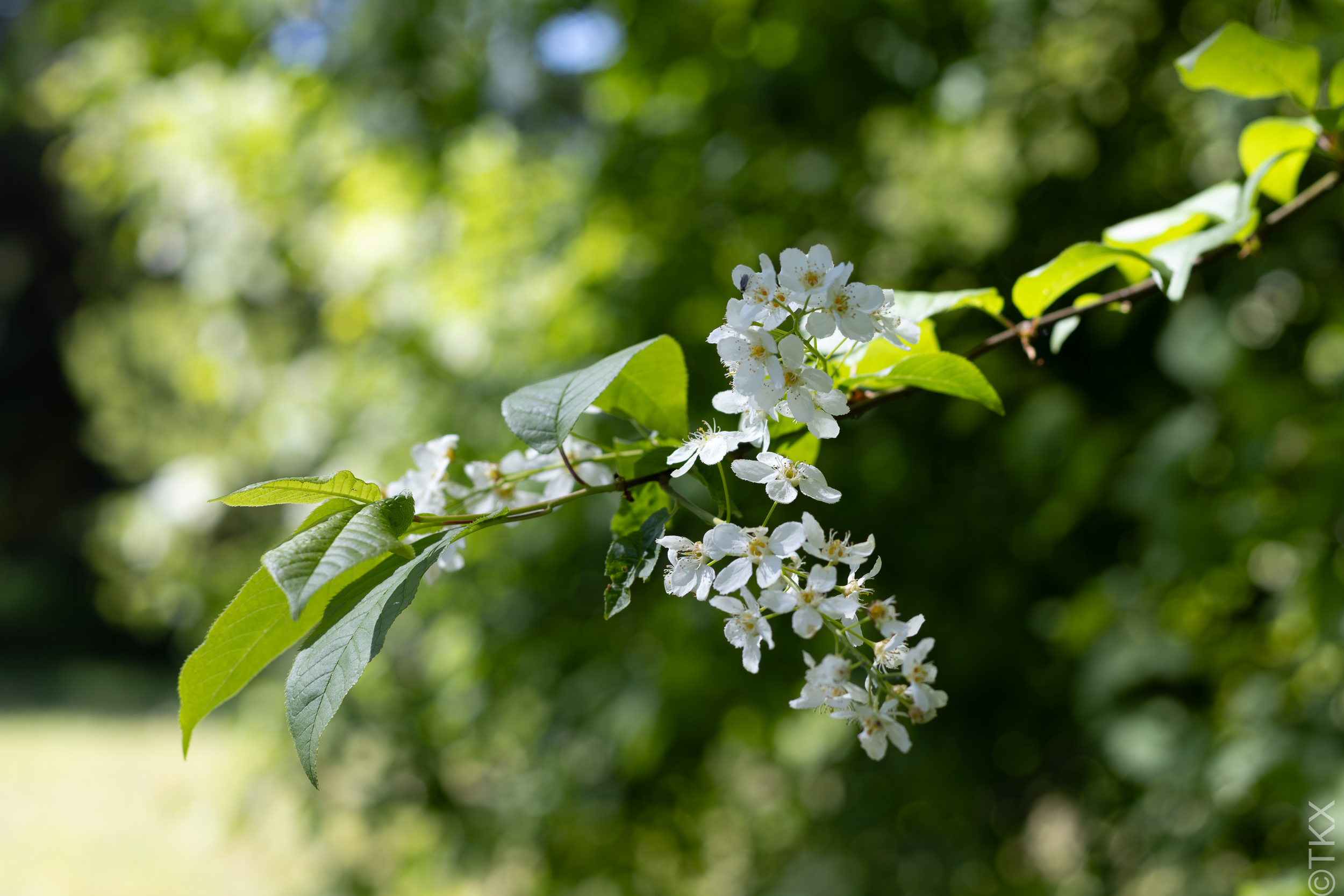 20240427 20240427 IMG 1042 Verbessert RR