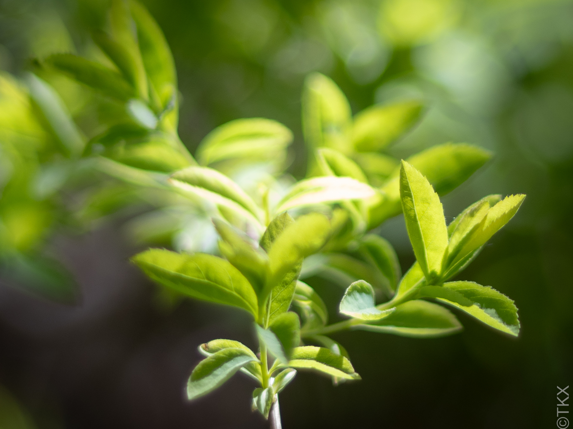 20240427 20240427 IMG 1044