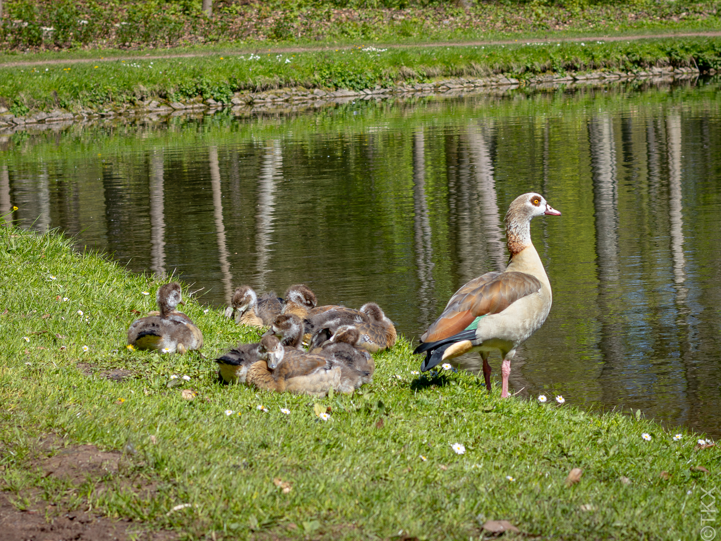 20240427 20240427 IMG 1096 Verbessert RR