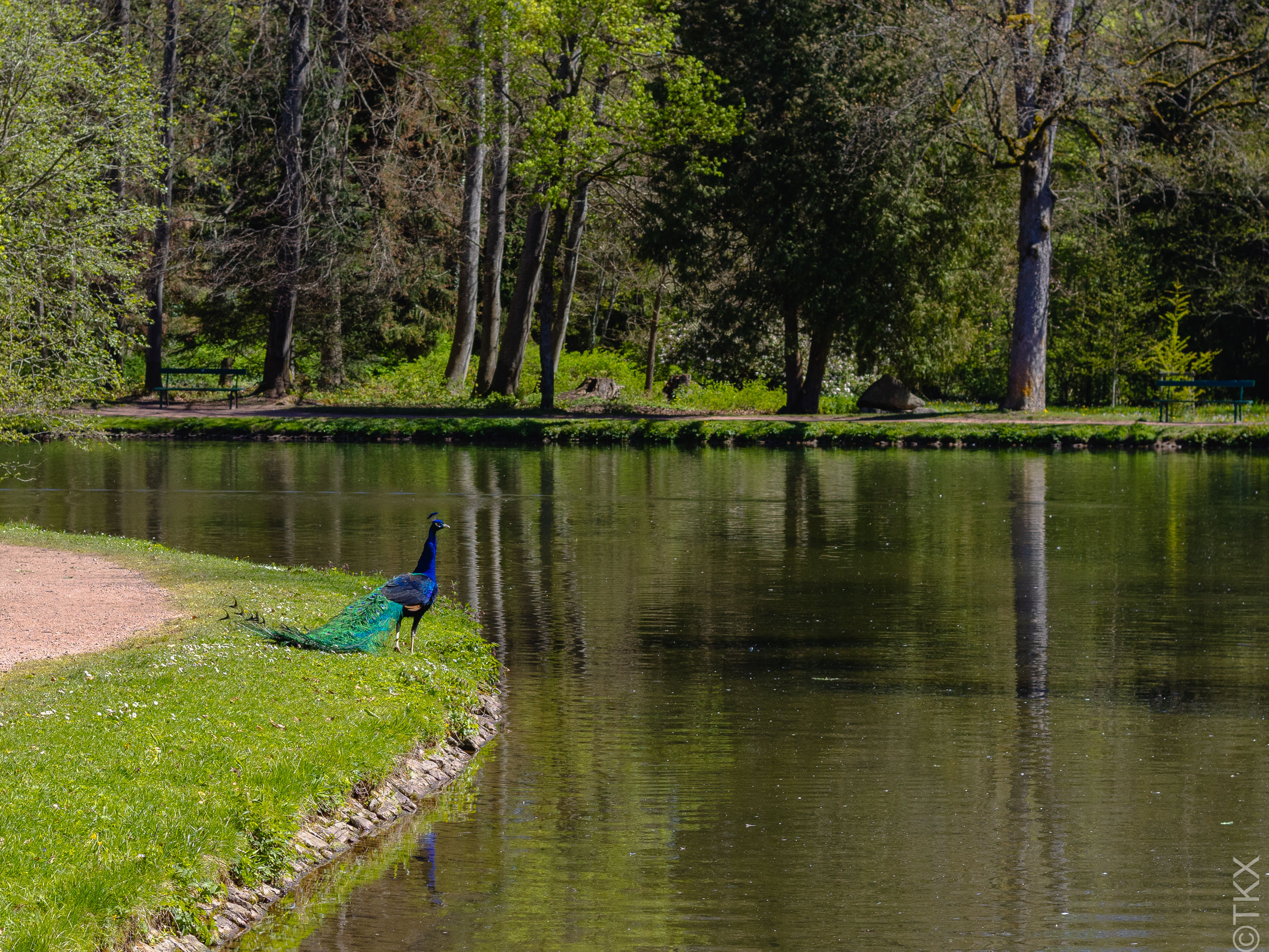 20240427 20240427 IMG 1100