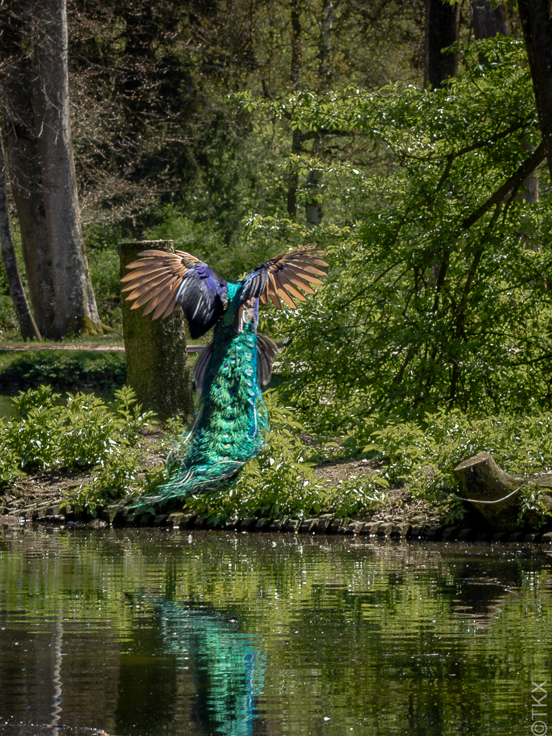 20240427 20240427 IMG 1102 Verbessert RR