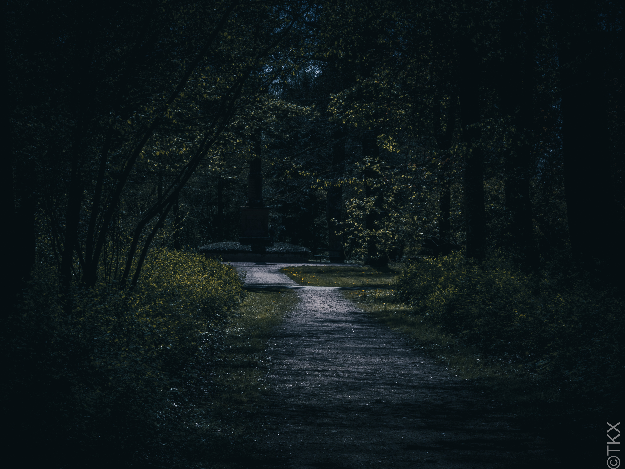 20240427 20240427 IMG 1108