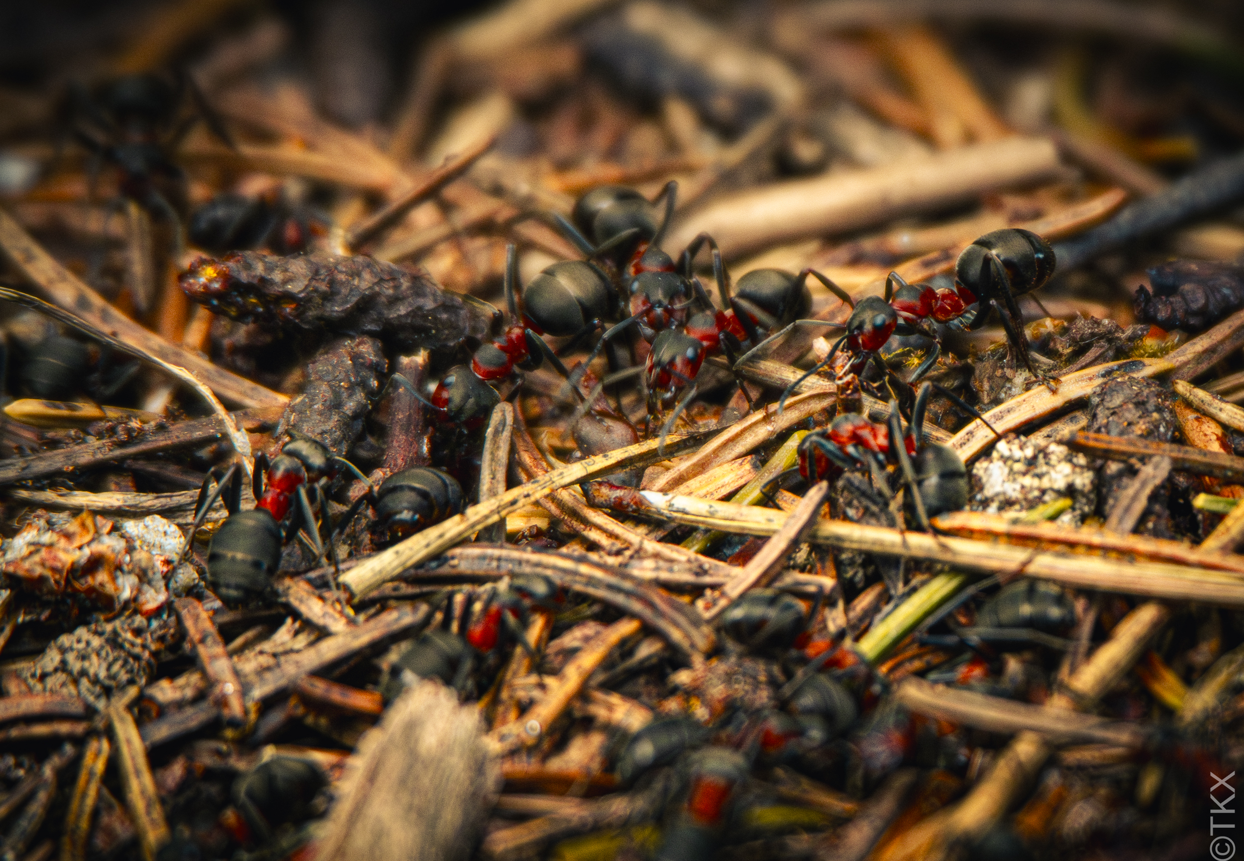 20220415 20220415 IMG 4074 Verbessert RR