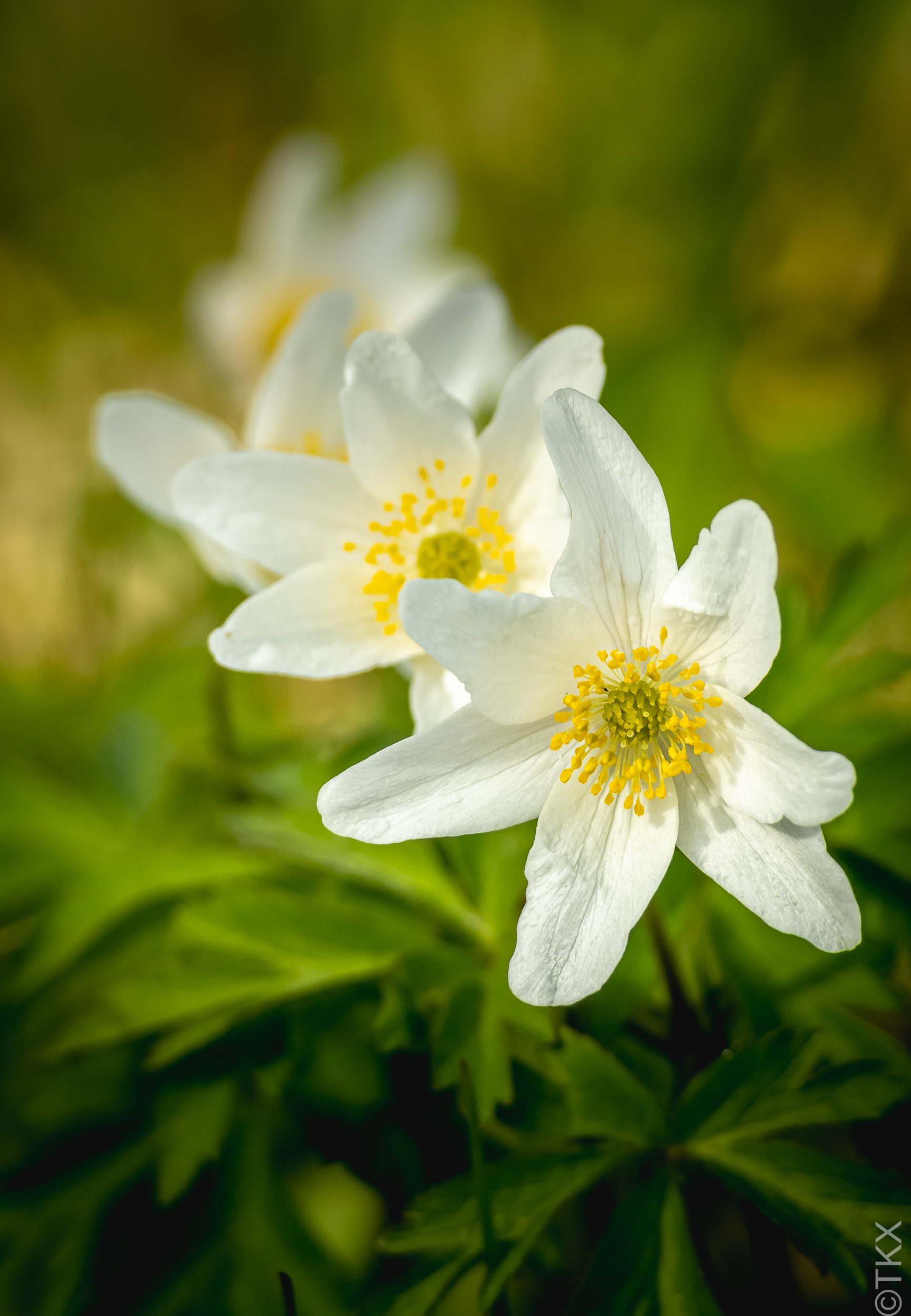 20220415 20220415 IMG 4093