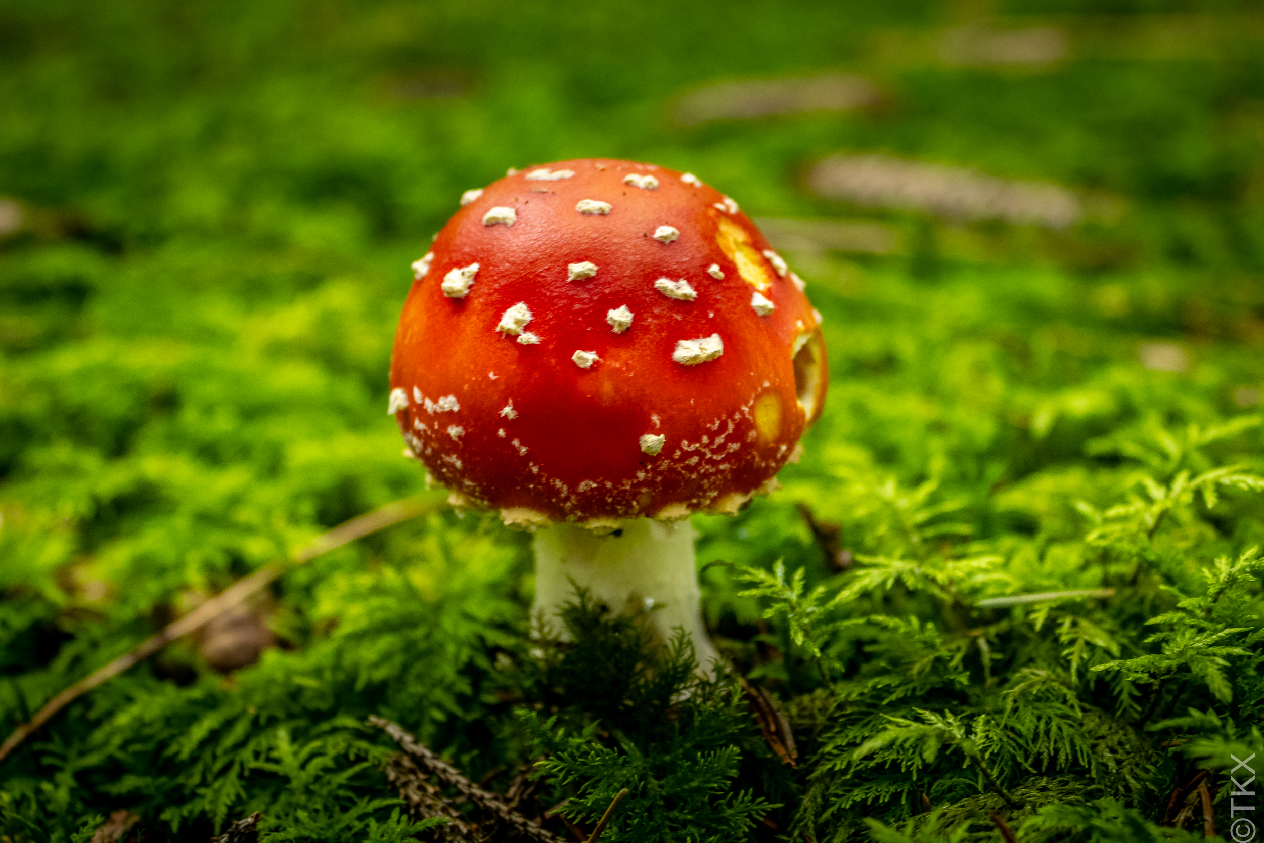 20220925 20220925 IMG 4453