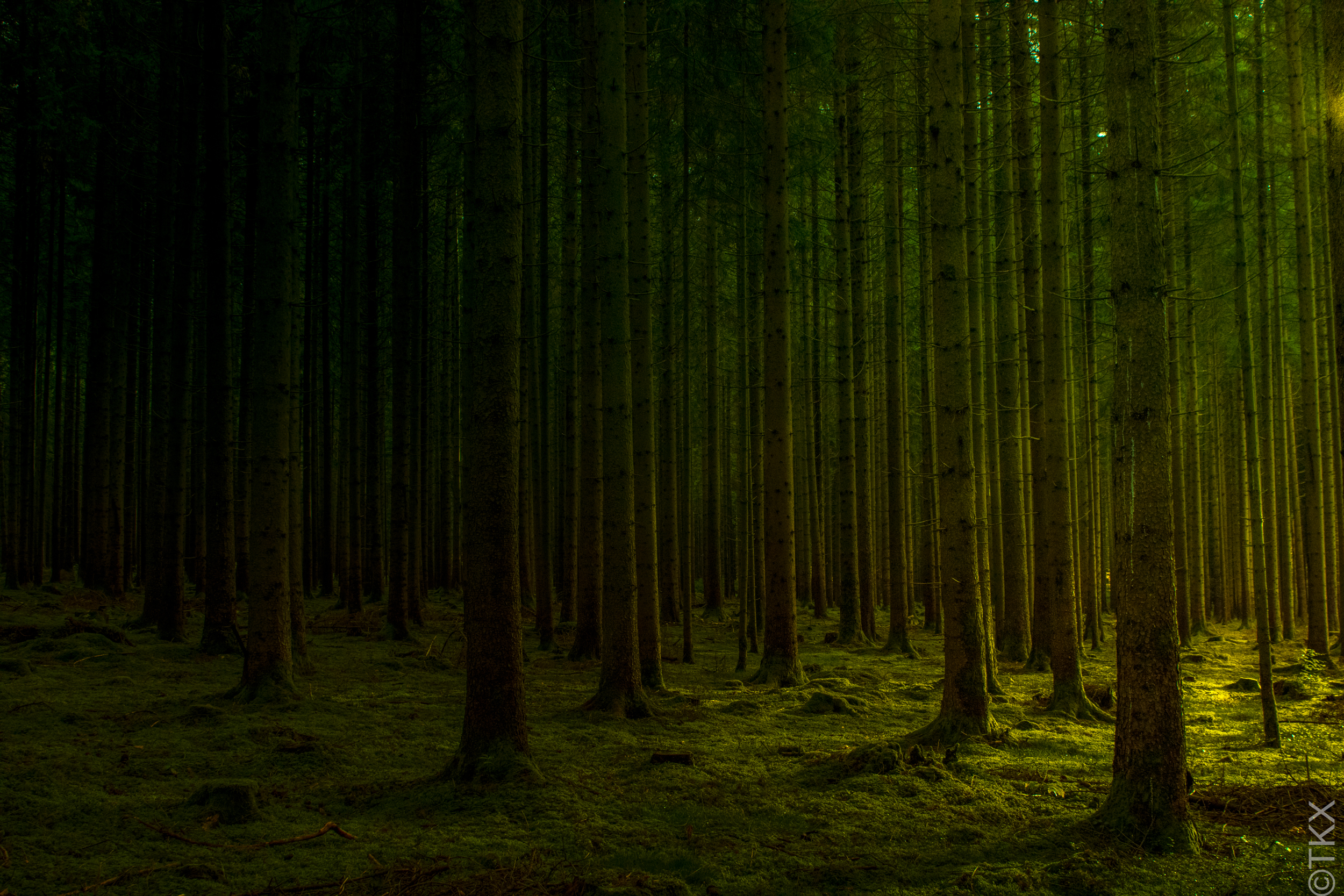 20221016 20221016 IMG 4463