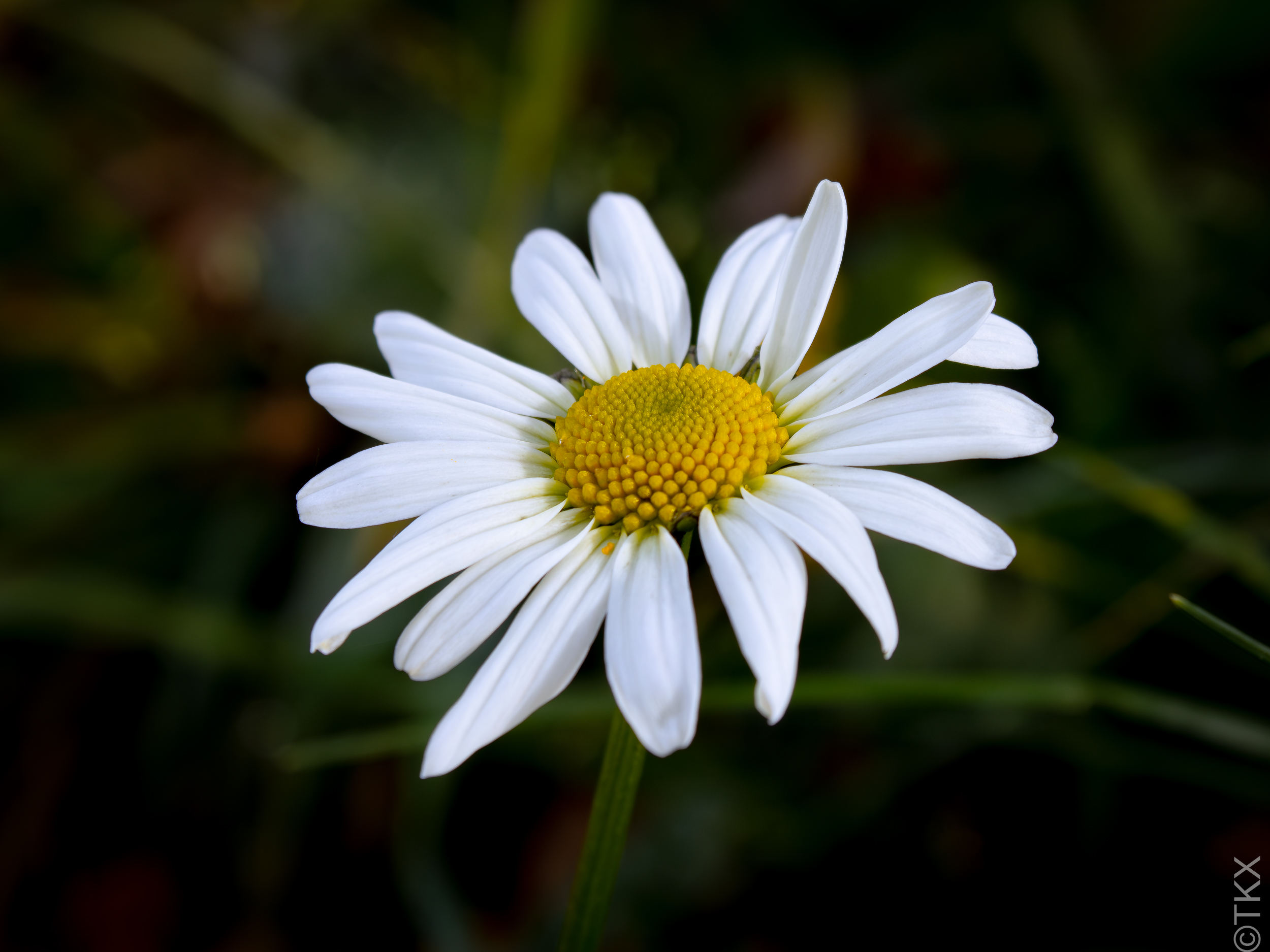 20221023 20221023 IMG 4495 Verbessert RR