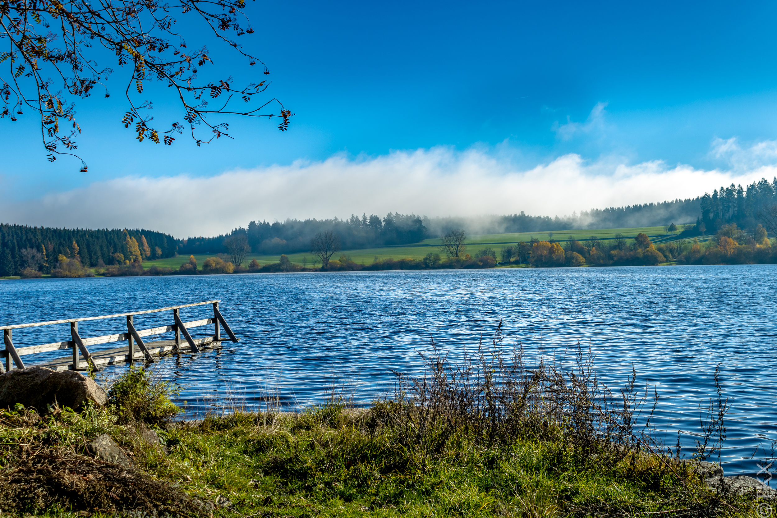 20221113 20221113 IMG 4524