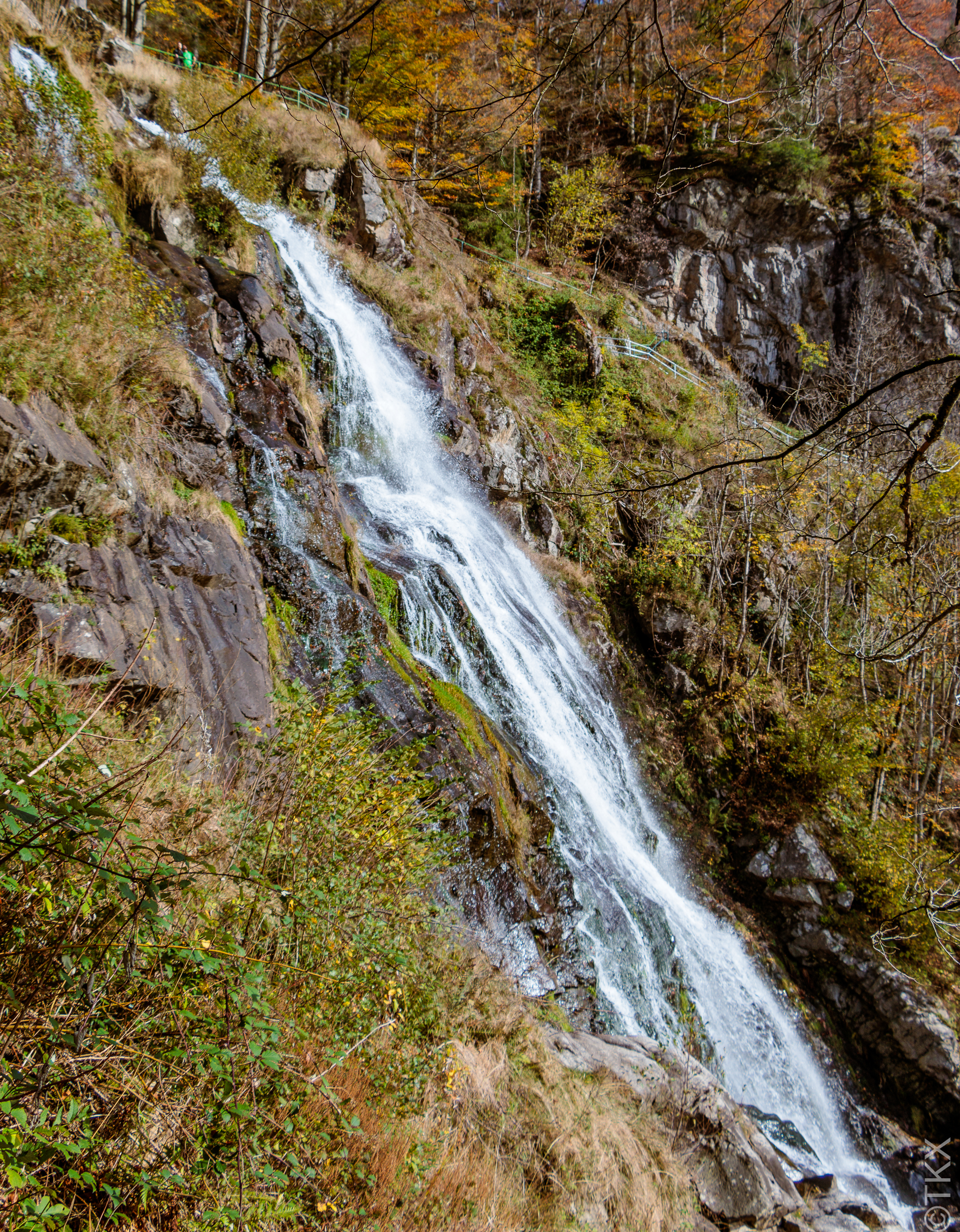 20241026 20241026 IMG 2586