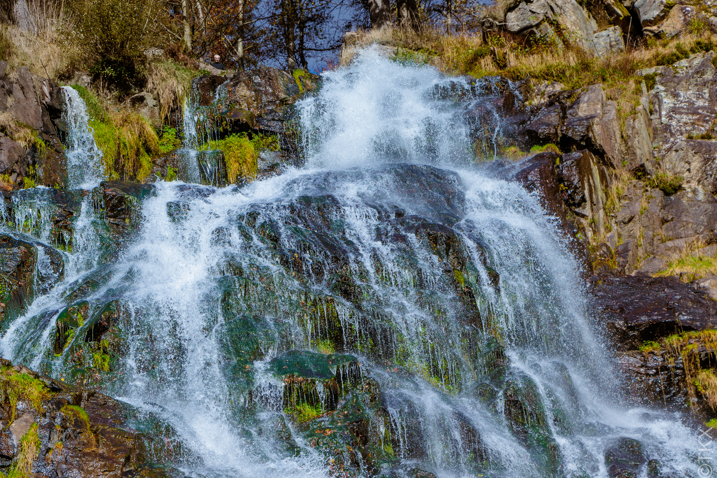 20241026 20241026 IMG 2606