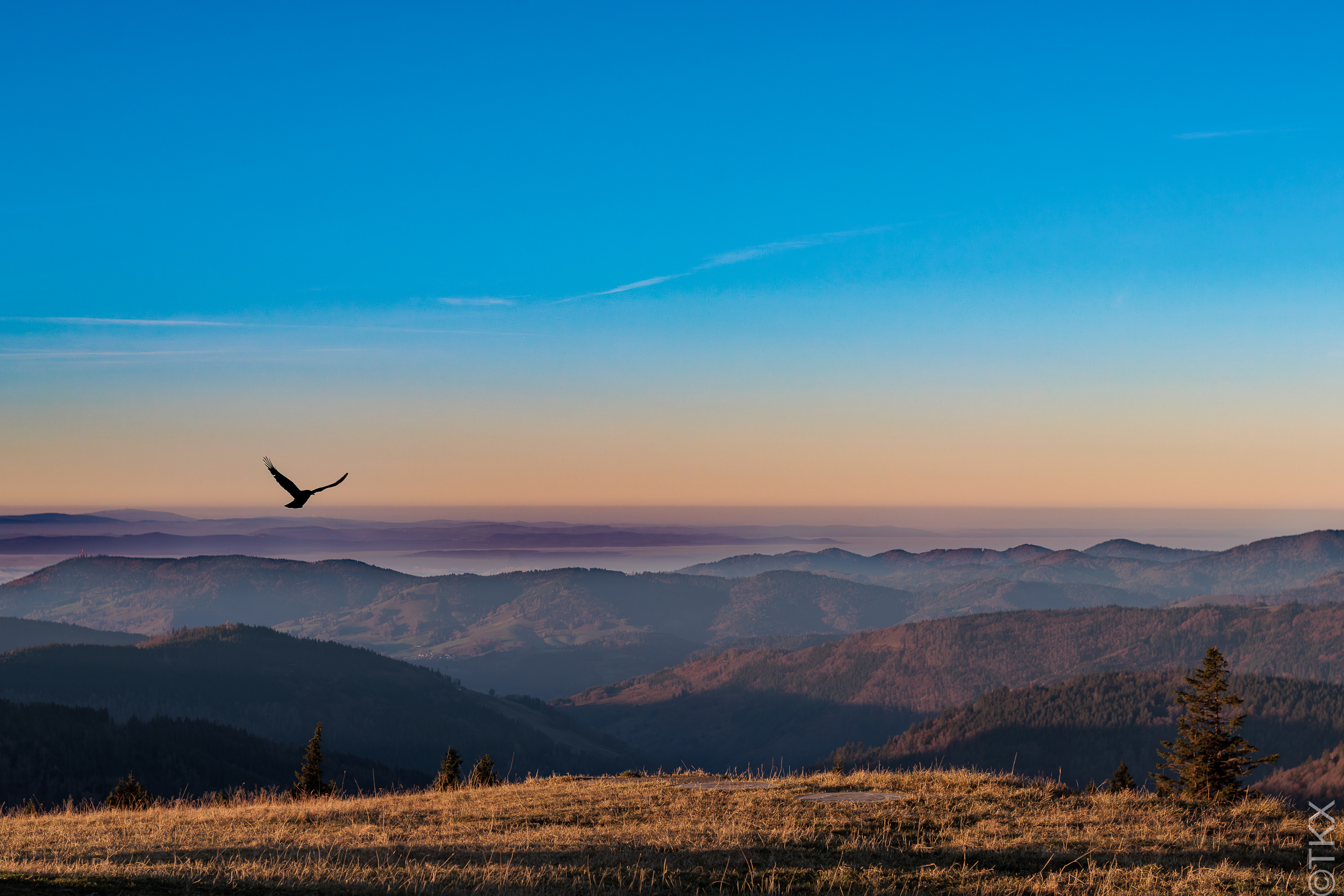 20241101 20241101 IMG 2713 Verbessert RR