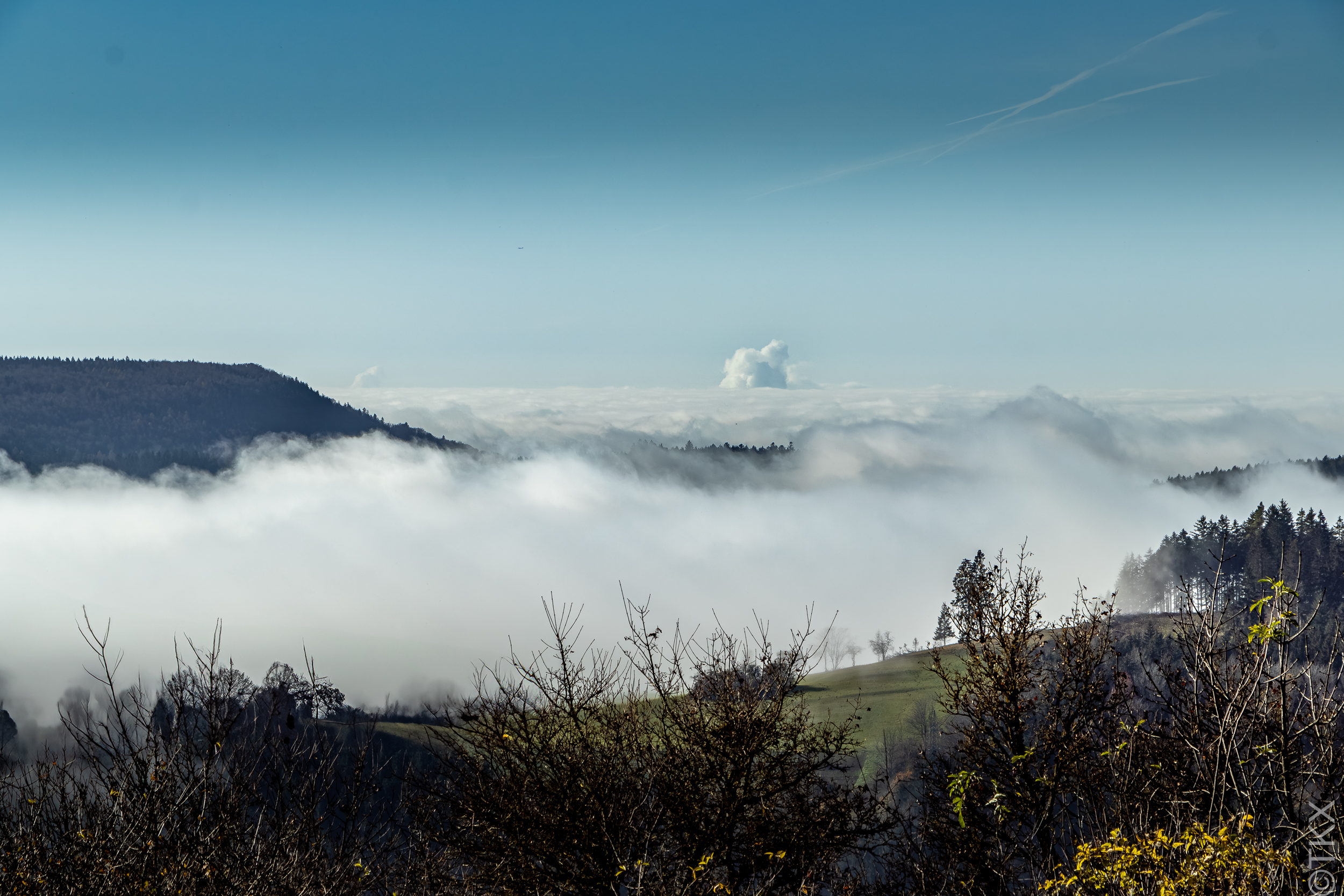 20241110 20241110 IMG 2733 Verbessert RR