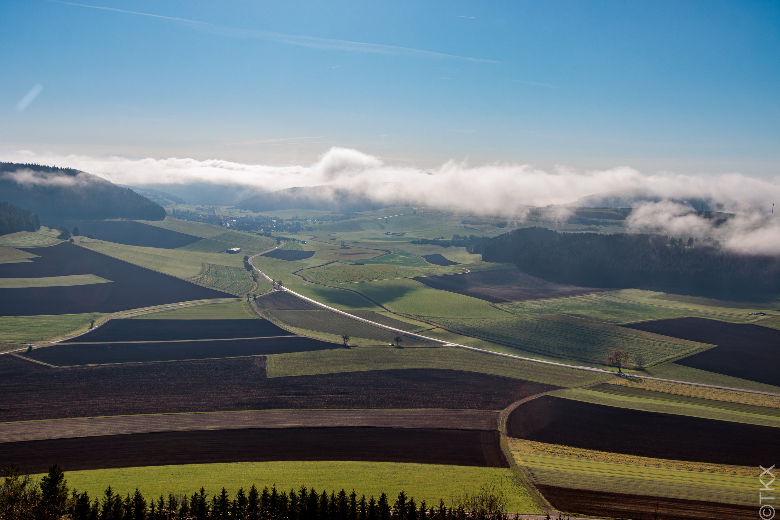 20241110 20241110 IMG 2754 Verbessert RR